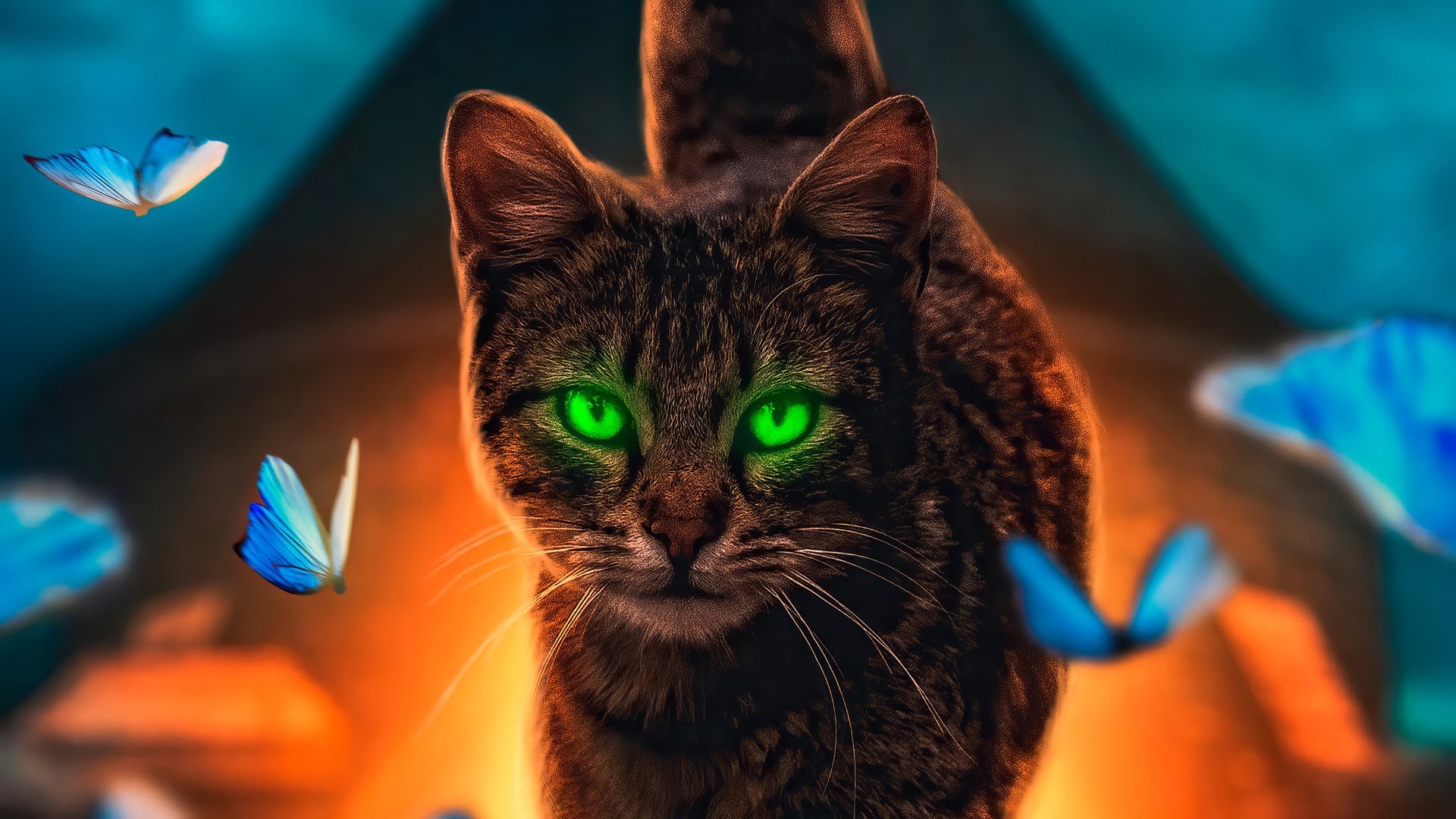 Neon Cat Wallpapers  Top Free Neon Cat Backgrounds  WallpaperAccess
