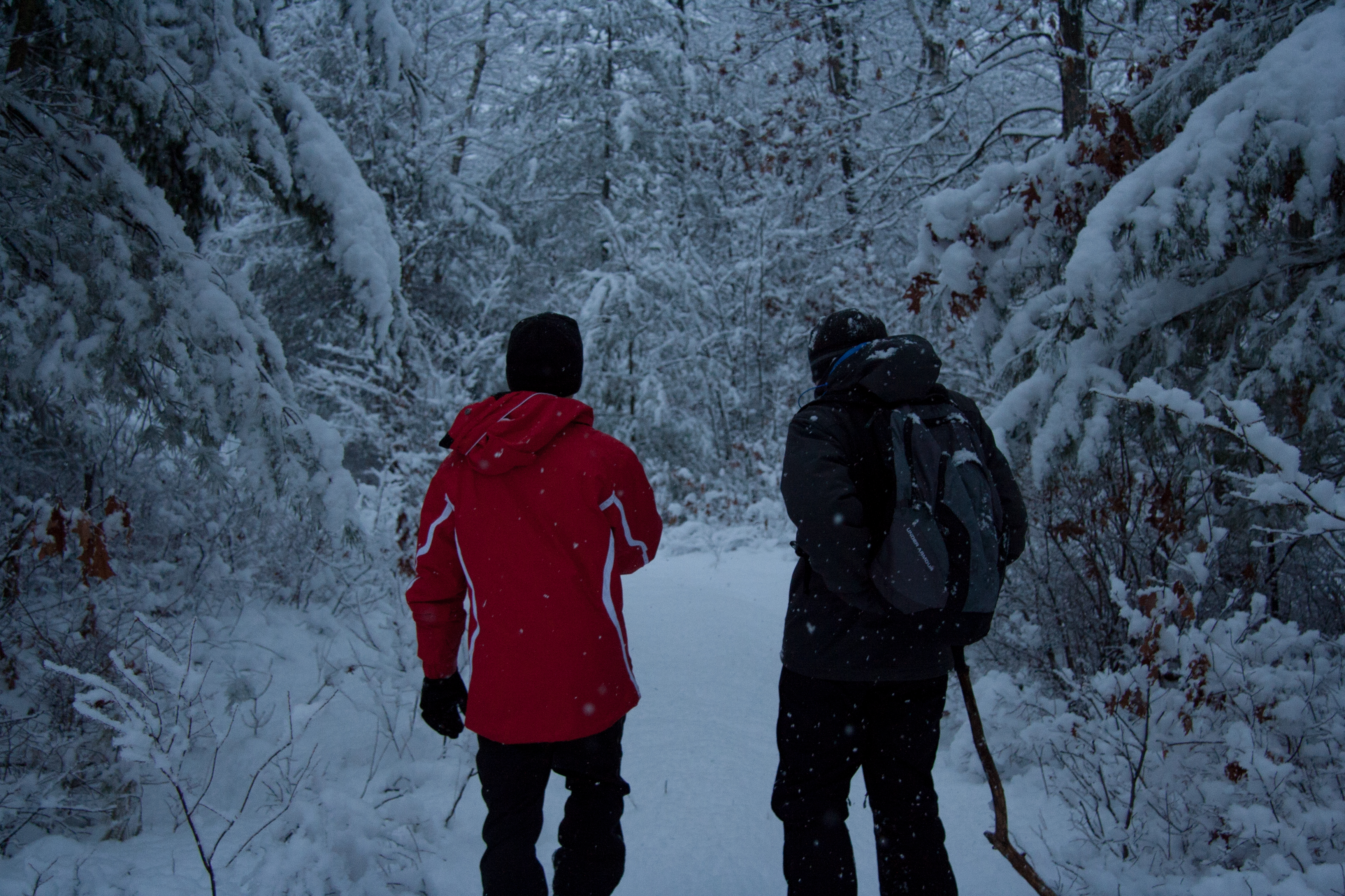 641118壁紙のダウンロード写真撮影, 冬, ハイキング-スクリーンセーバーと写真を無料で
