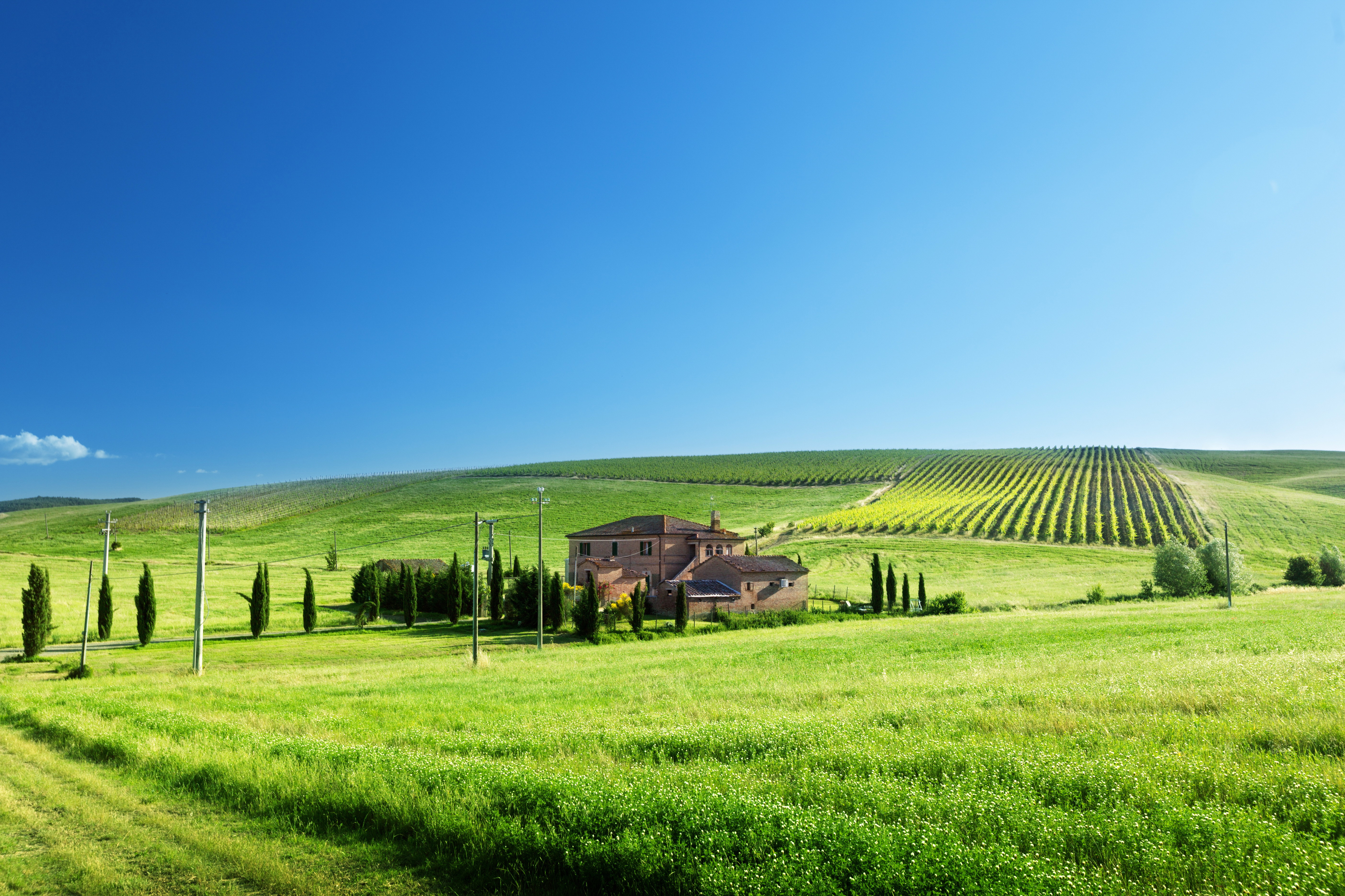 Farm grass. STV-lc47s660fl00. Тоскана. Тоскана виноградники. Поля Абраама.