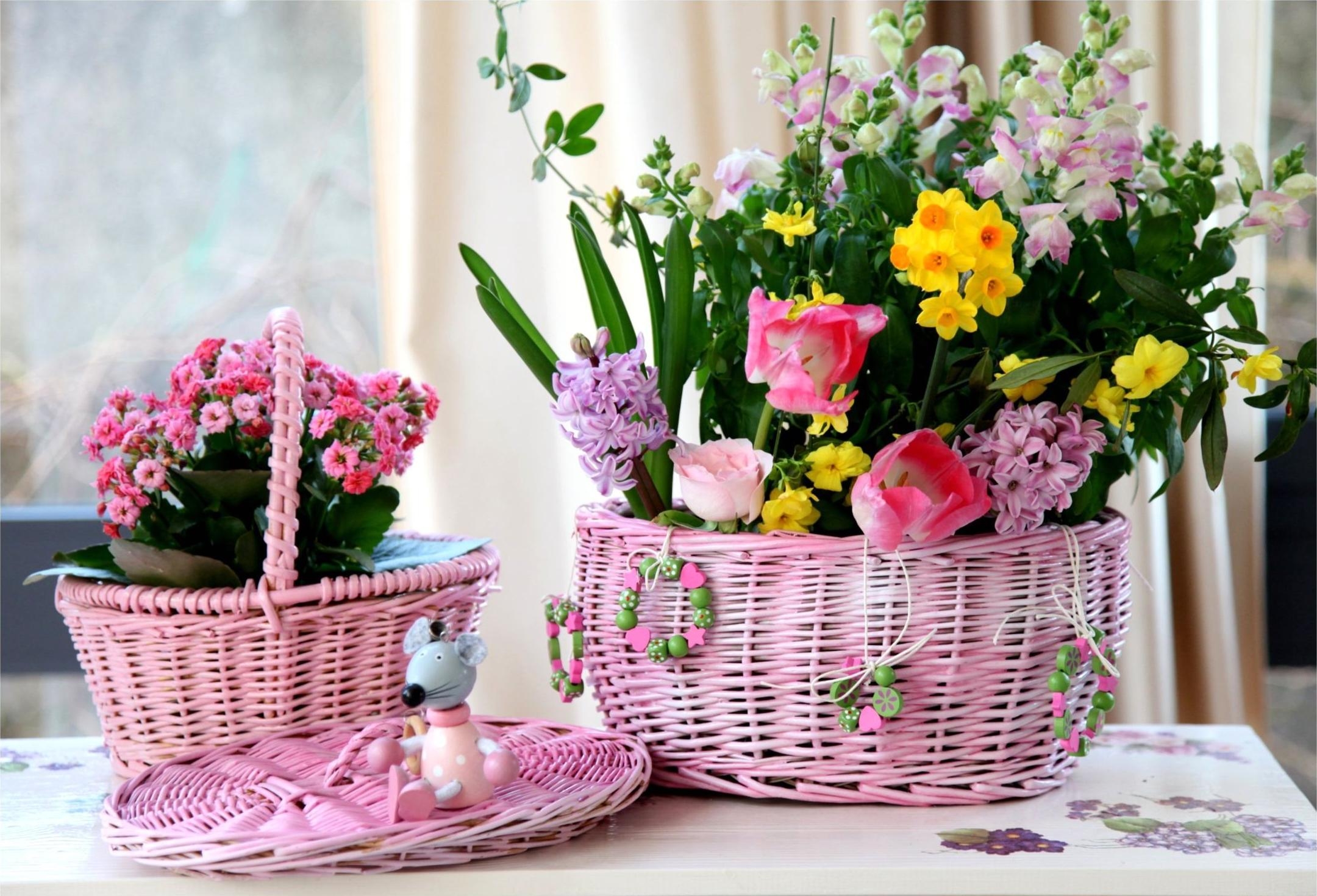 tulips, rose flower, flowers, narcissussi, rose, mouse, basket, hyacinths, baskets, freesia