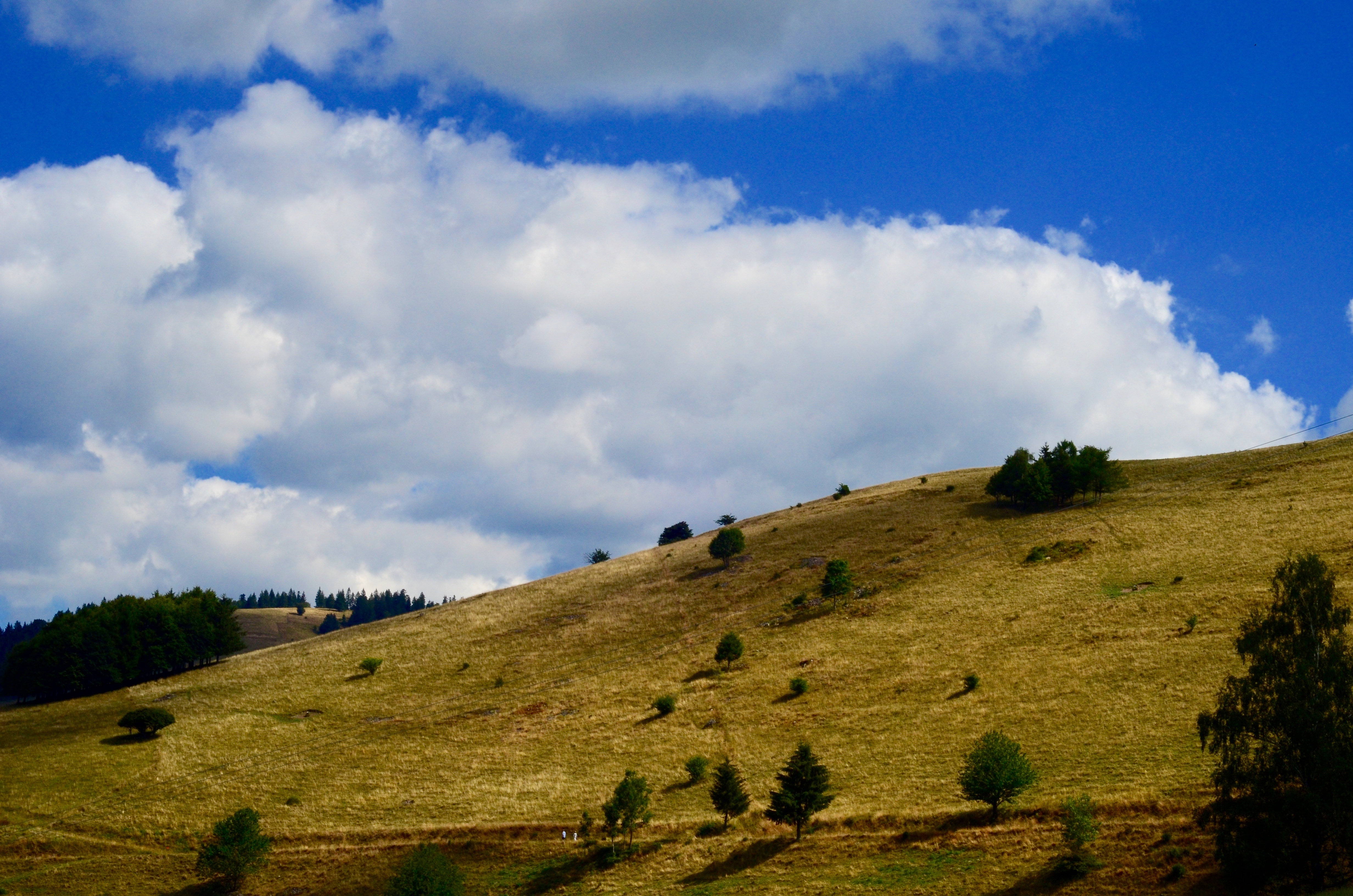 nature, grass, sky, hill, elevation