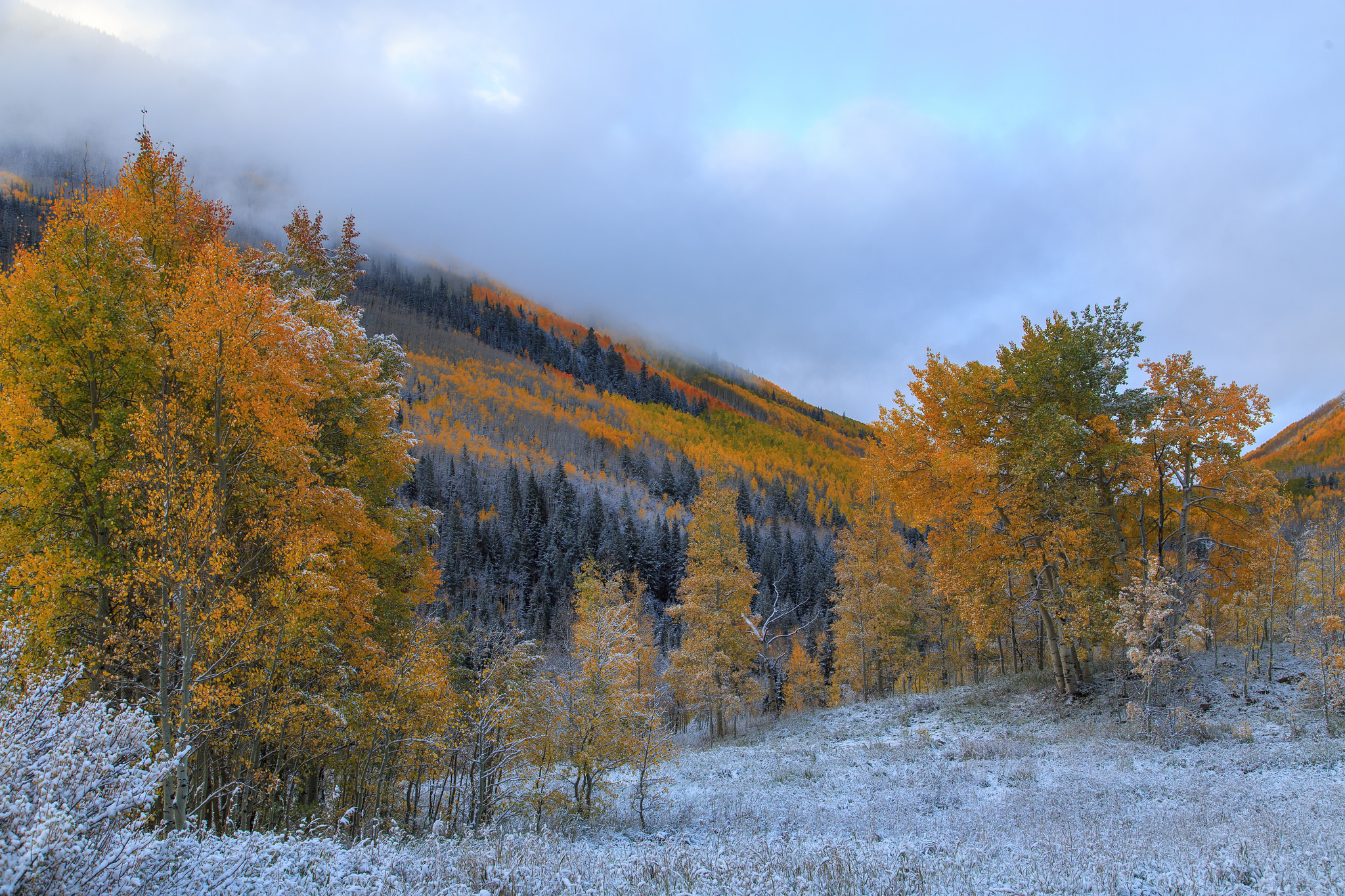 PCデスクトップに霜, 自然, 木, 山脈, 秋画像を無料でダウンロード