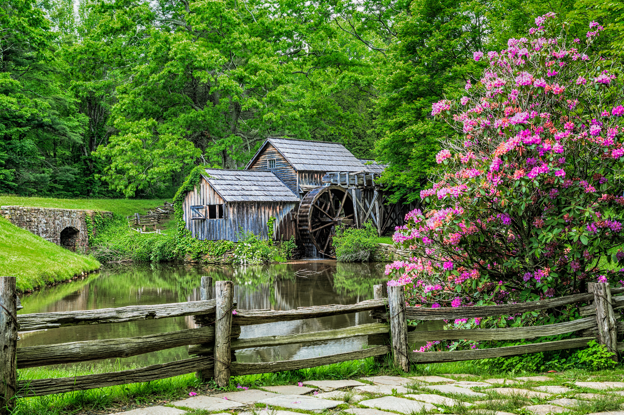 mill, mabry mill, man made, watermill, blossom, fence, pink flower, spring, tree