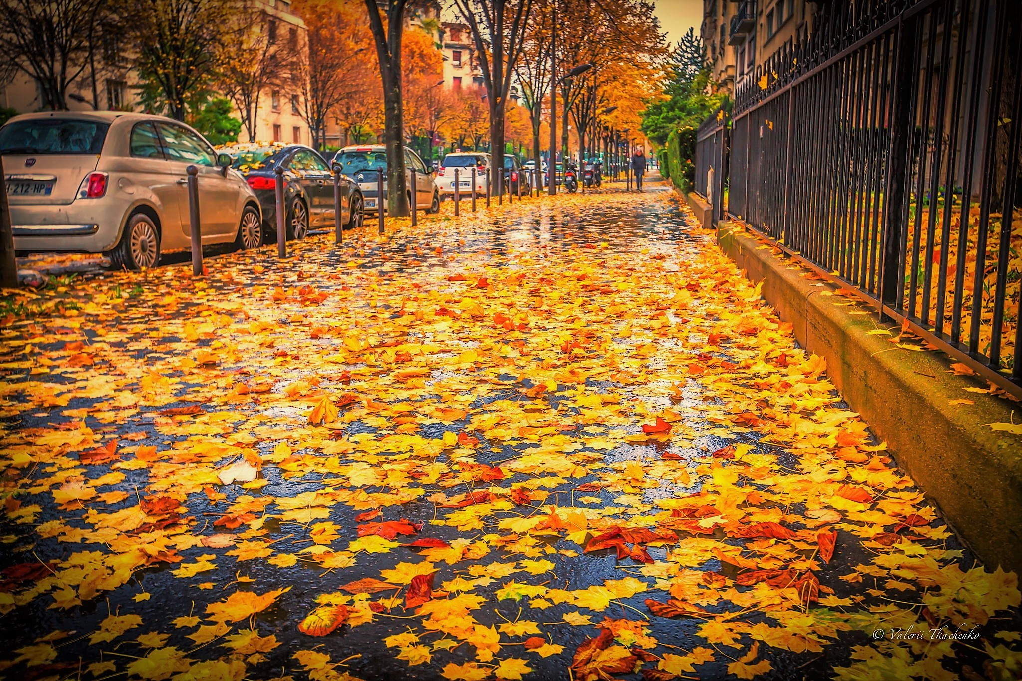 photography, fall, car, leaf, sidewalk Free Stock Photo
