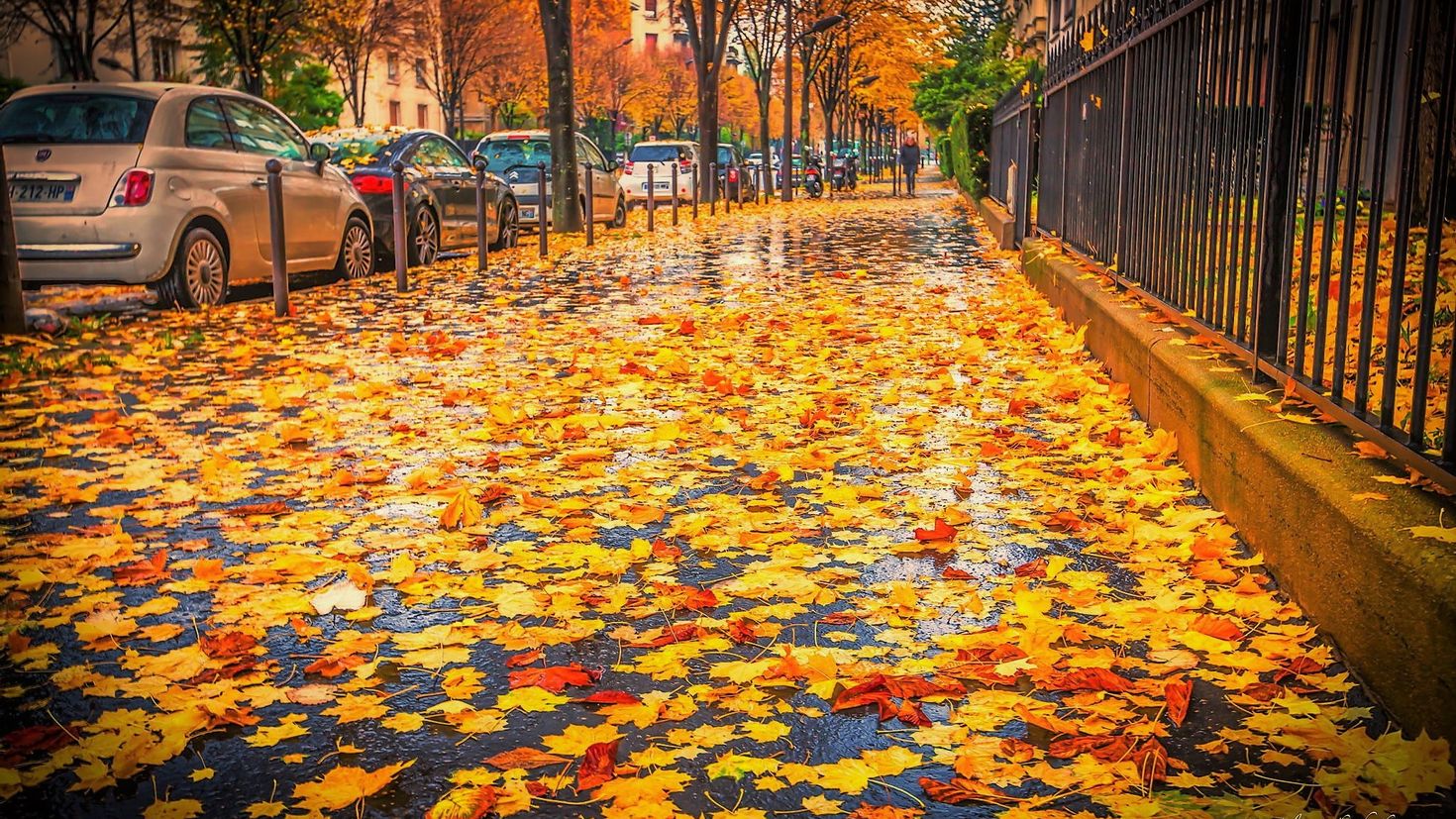 Улицы Парижа осень