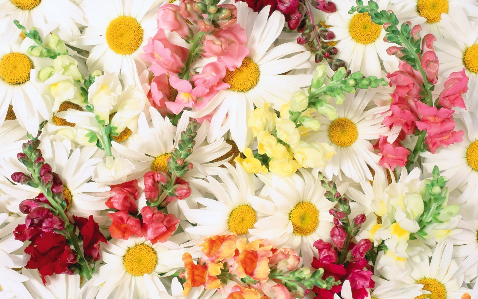 Праздничный баннер с цветами