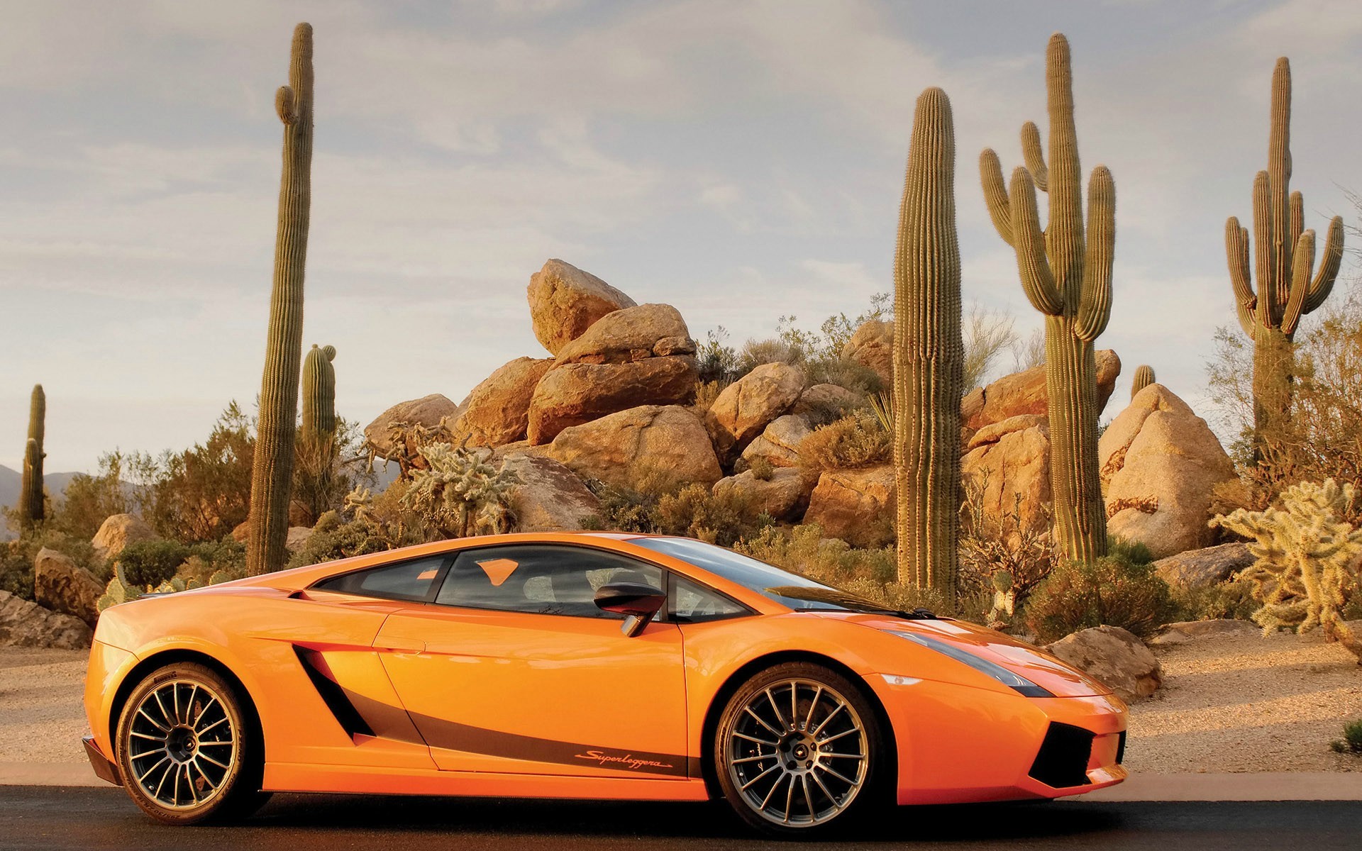 gallardo lamborghini