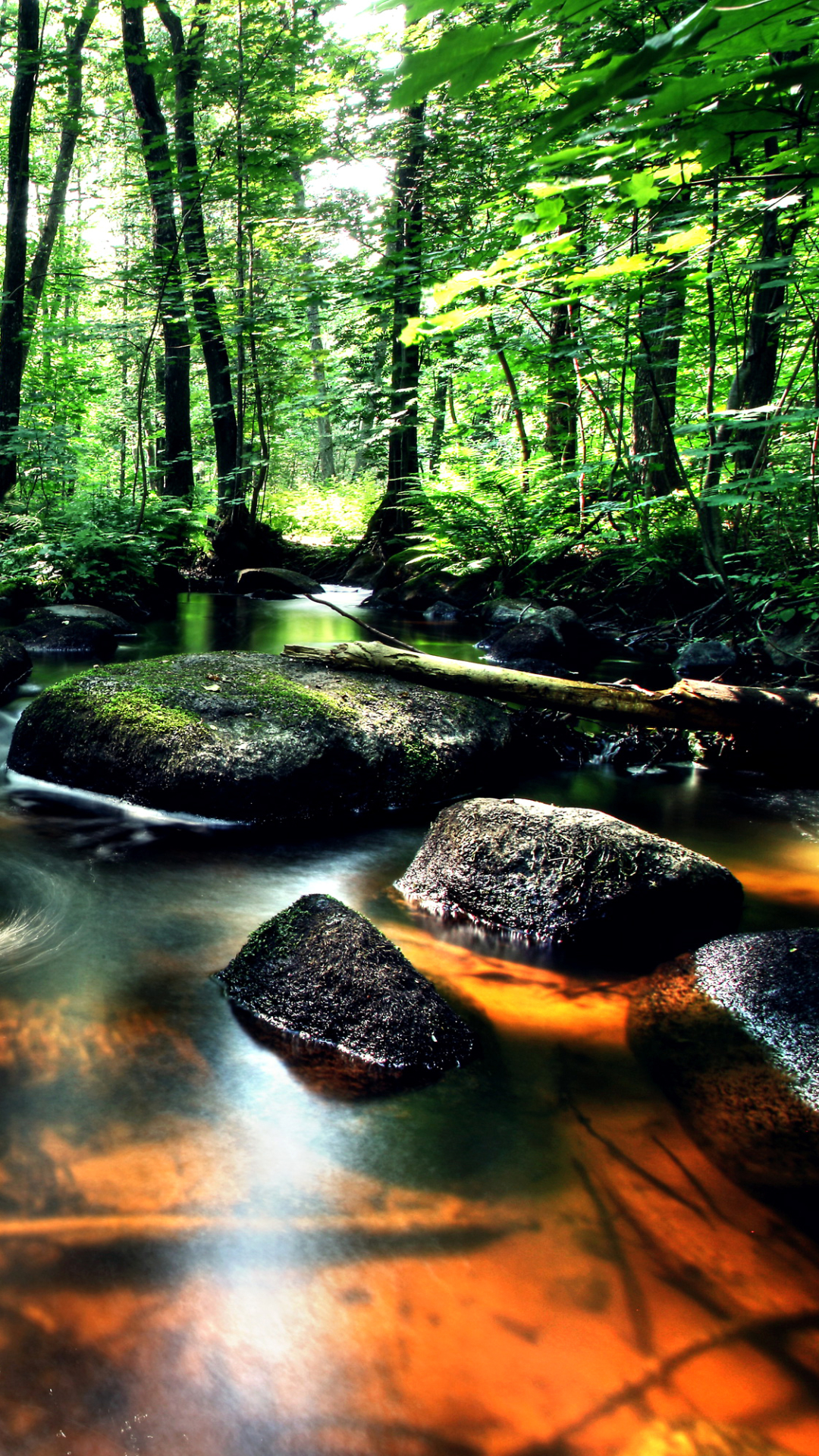 Лес и вода картинки для телефона