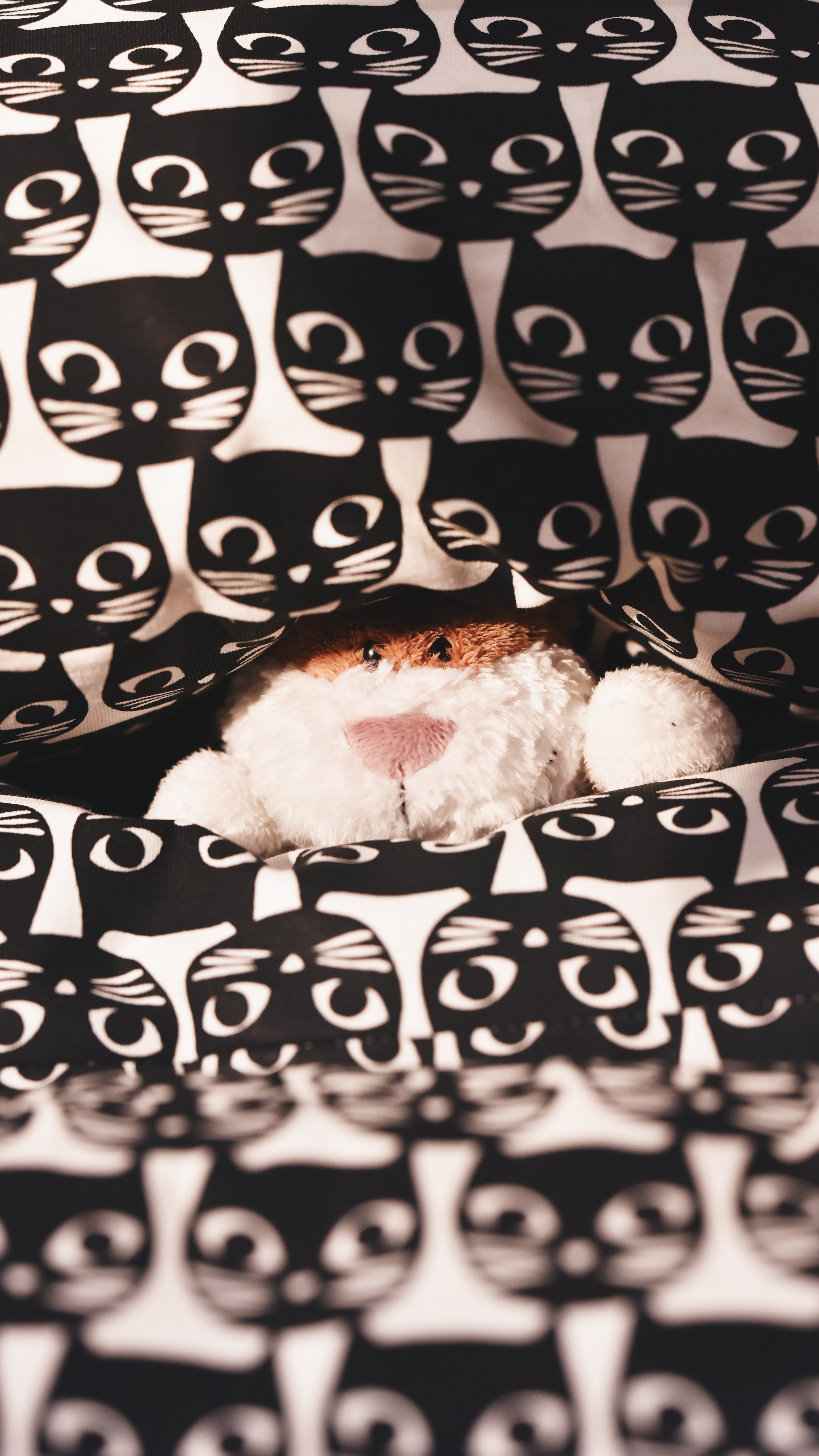 cats, miscellanea, miscellaneous, pattern, plush, toy, peek out, look out Free Stock Photo