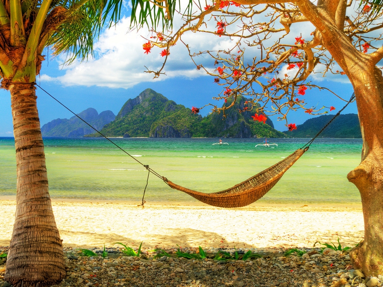 23313 Hintergrundbild herunterladen palms, landschaft, sea, strand - Bildschirmschoner und Bilder kostenlos
