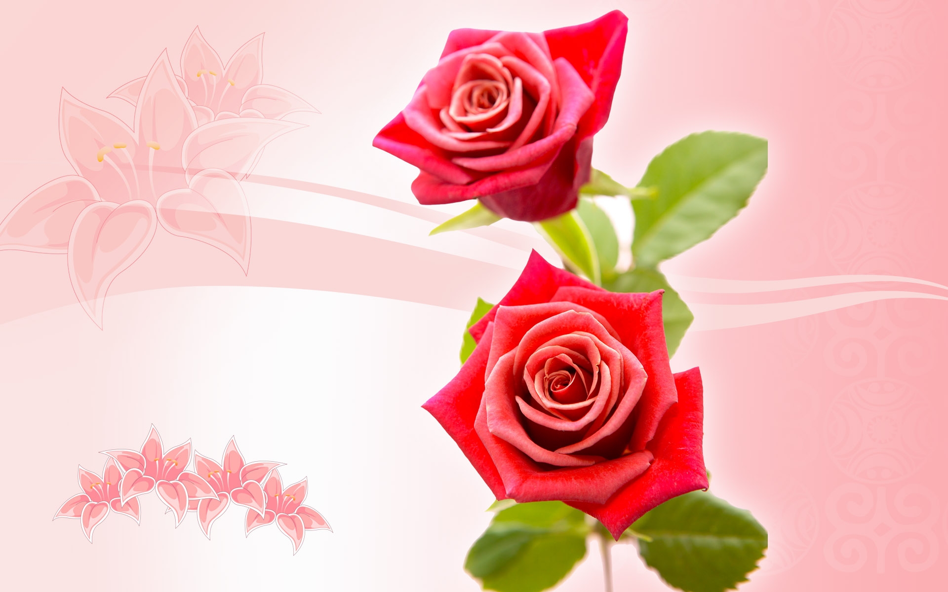 Descarga gratuita de fondo de pantalla para móvil de Roses, Flores, Plantas, Fondo.