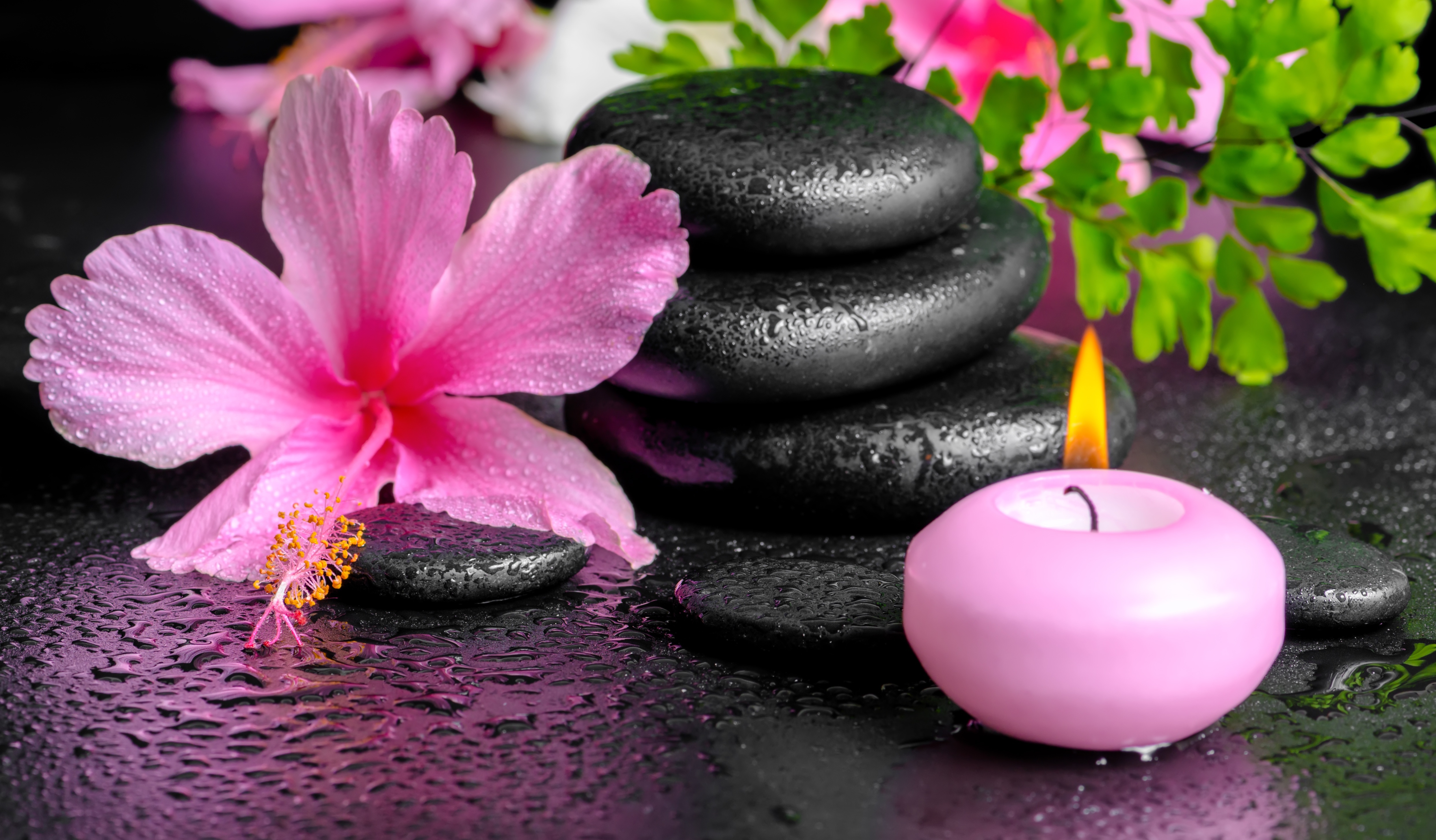 Download mobile wallpaper Still Life, Flower, Stone, Candle, Hibiscus, Spa, Man Made for free.
