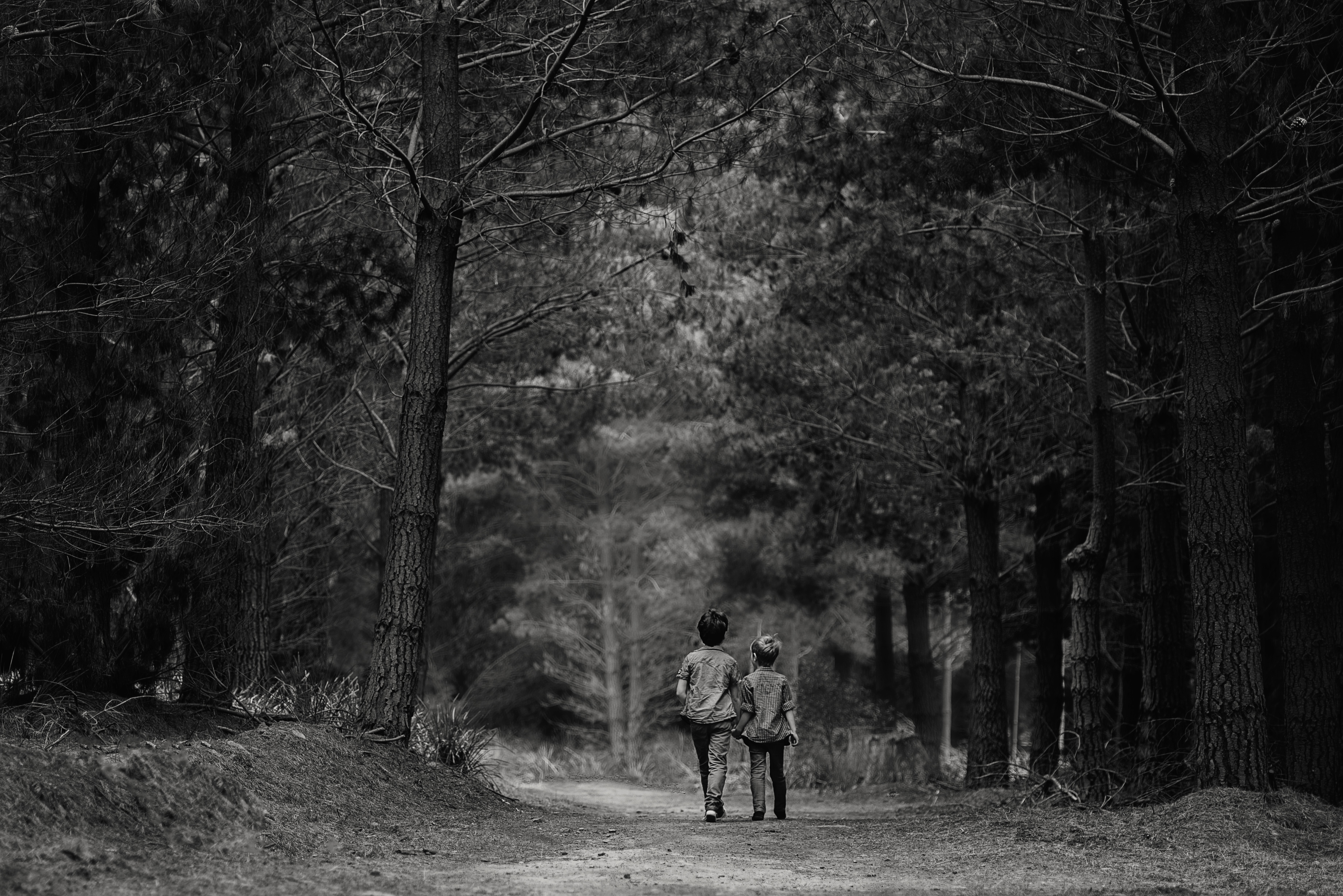 children, friends, chb, miscellaneous, bw, forest, miscellanea, stroll wallpapers for tablet