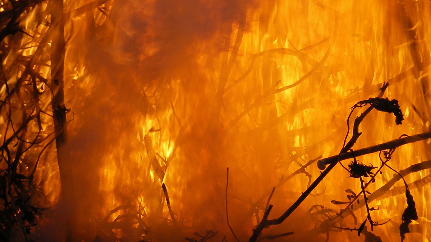 Пик пожар. Пожар леса. Пожары в Курганской области. Тушение пожара. Пожар картинки.