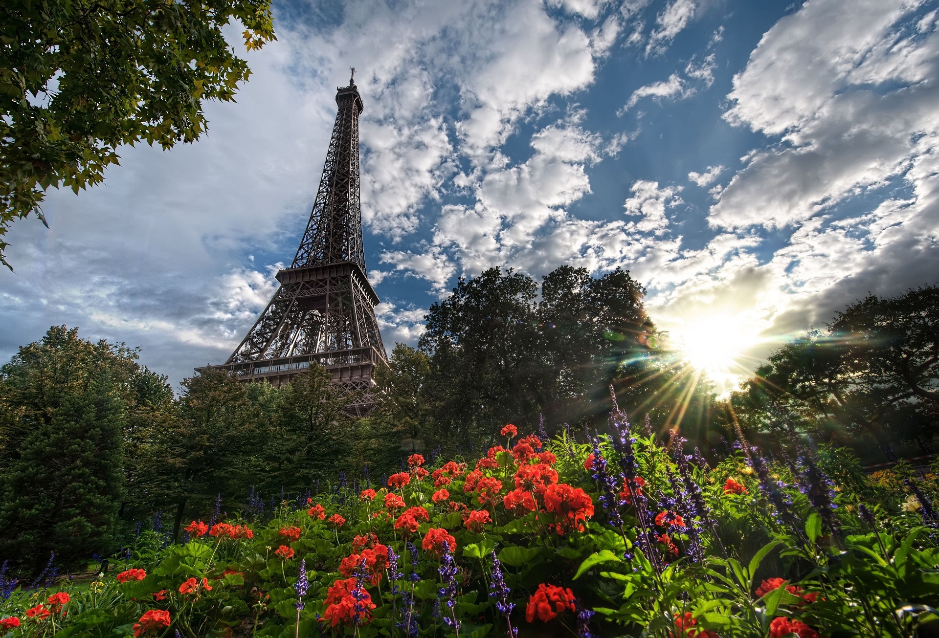 1485455 Protetores de tela e papéis de parede Torre Eiffel em seu telefone. Baixe  fotos gratuitamente