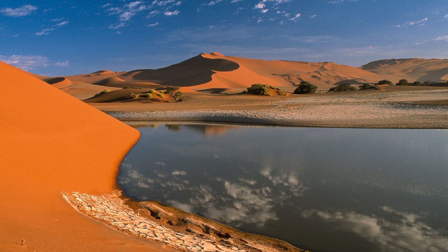 Rivers in the desert. Пустыня Каракум Оазис. Эль ХАМРА пустыня. Оазис в пустыне Африки. Нубийская пустыня.