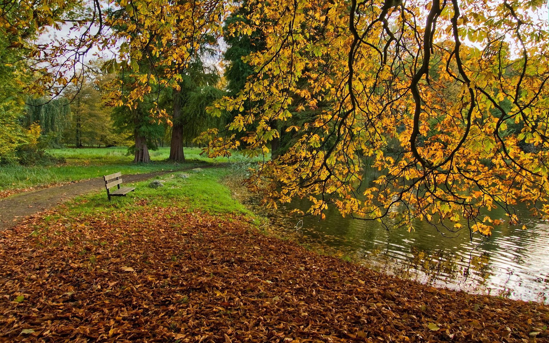 Золотая осень парк тропинка пруд