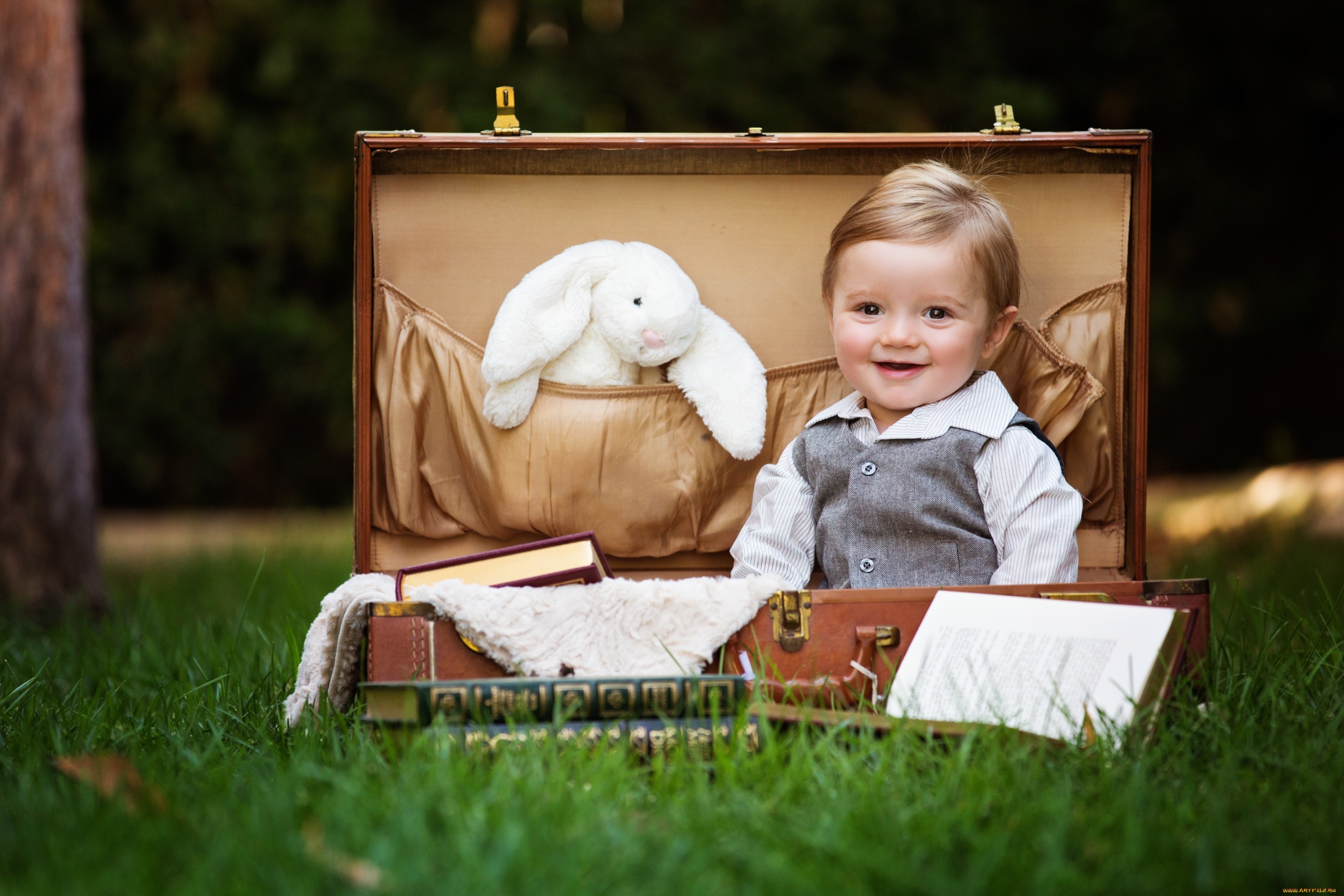 photography, child, grass, little boy, stuffed animal, suitcase Full HD