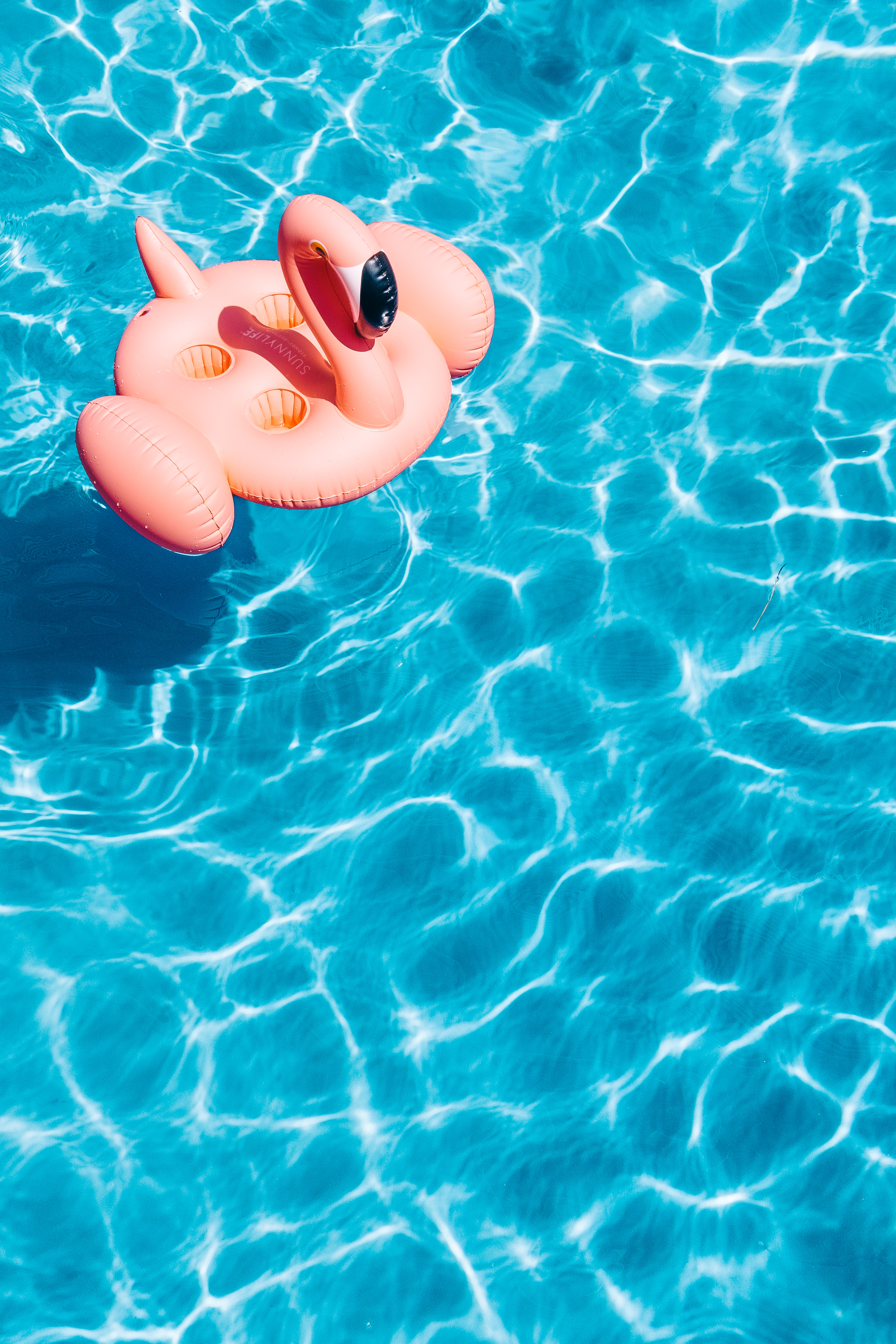 water, flamingo, pool, summer, minimalism Smartphone Background