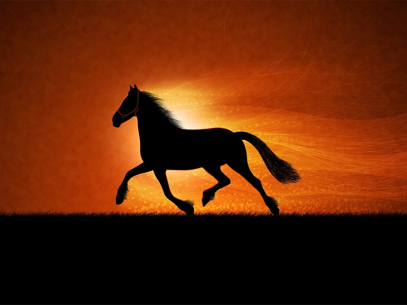 Free download wallpaper Animals, Pictures, Horses on your PC desktop