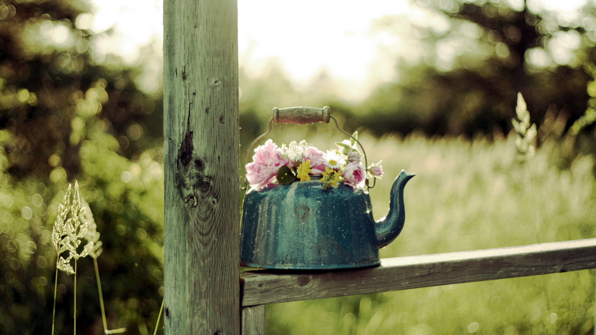 man made, flower, teapot