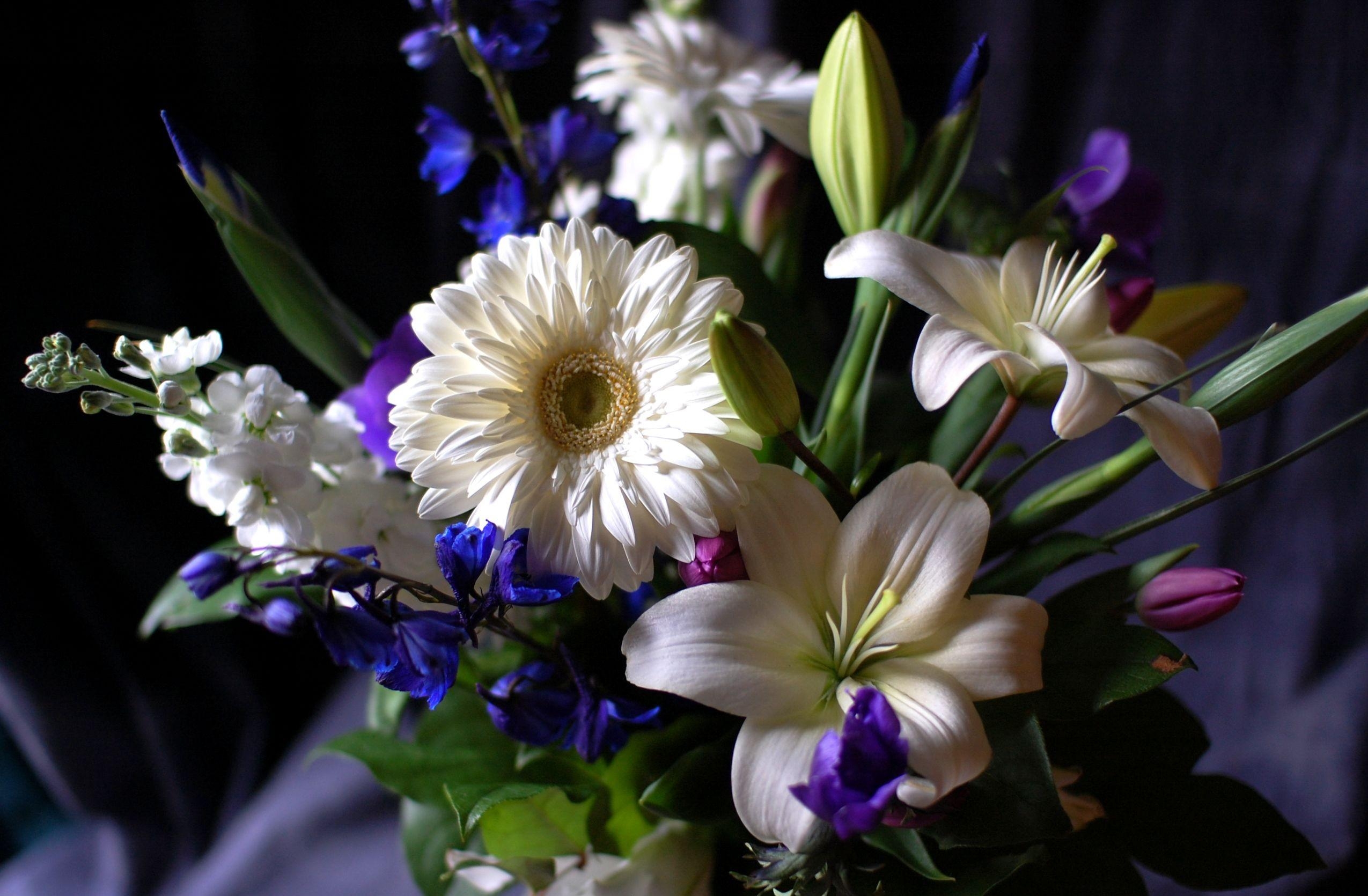 composition, flowers, lilies, gerberas, registration, typography, bouquet, levkoy, gillyflower
