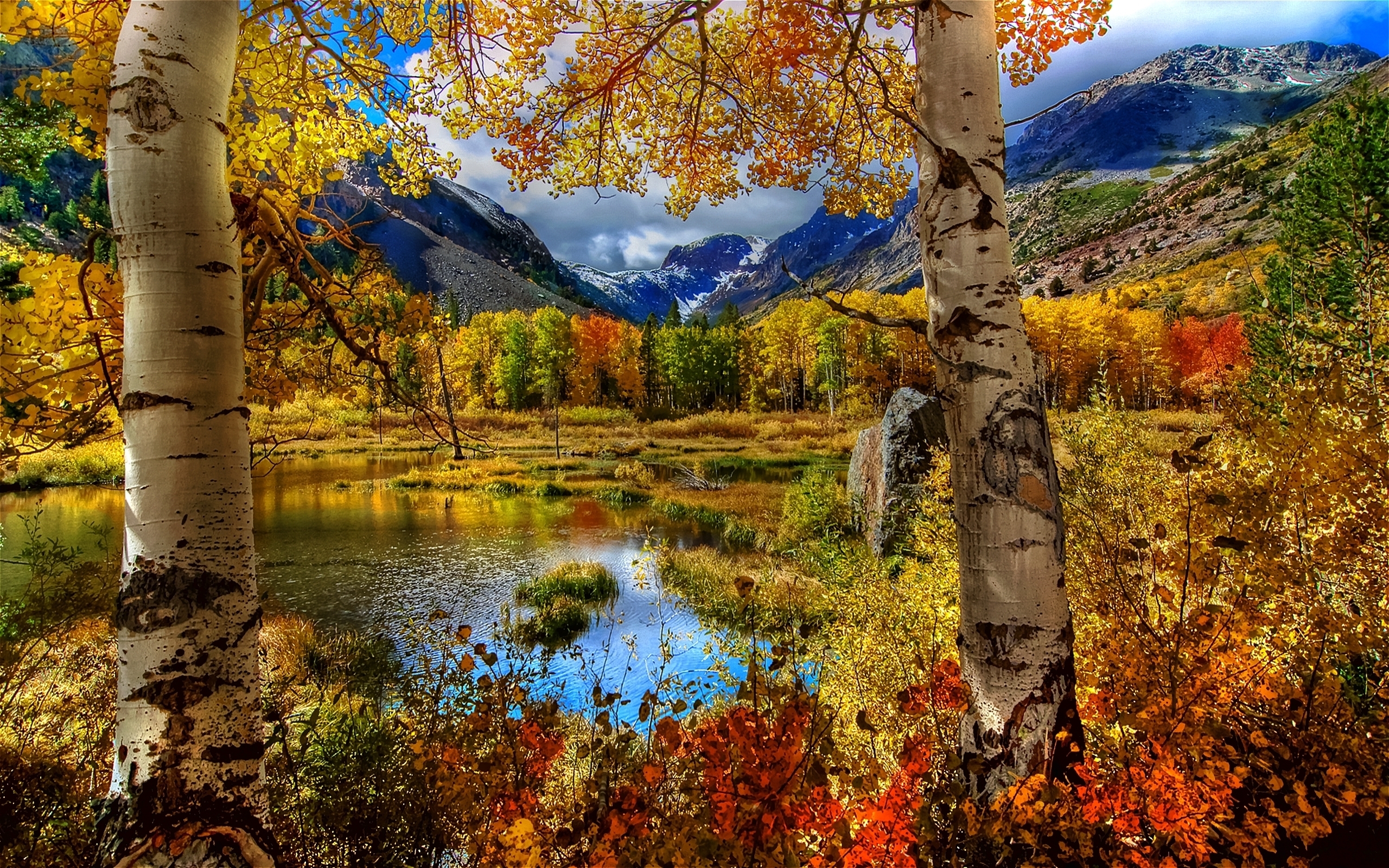24418 скачать обои горы, березы, осень, пейзаж, деревья, река - заставки и картинки бесплатно