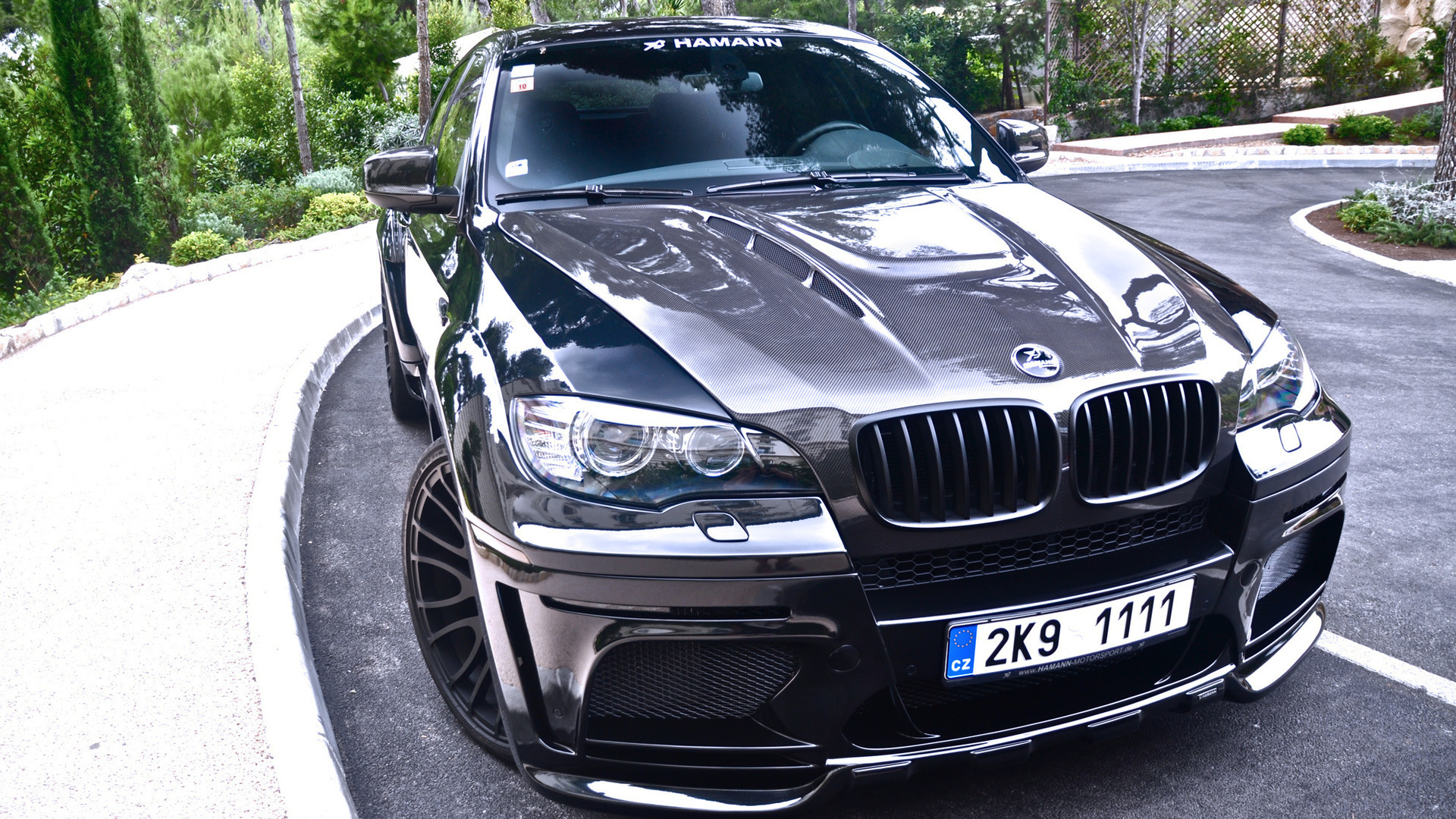 BMW rasmlari x5