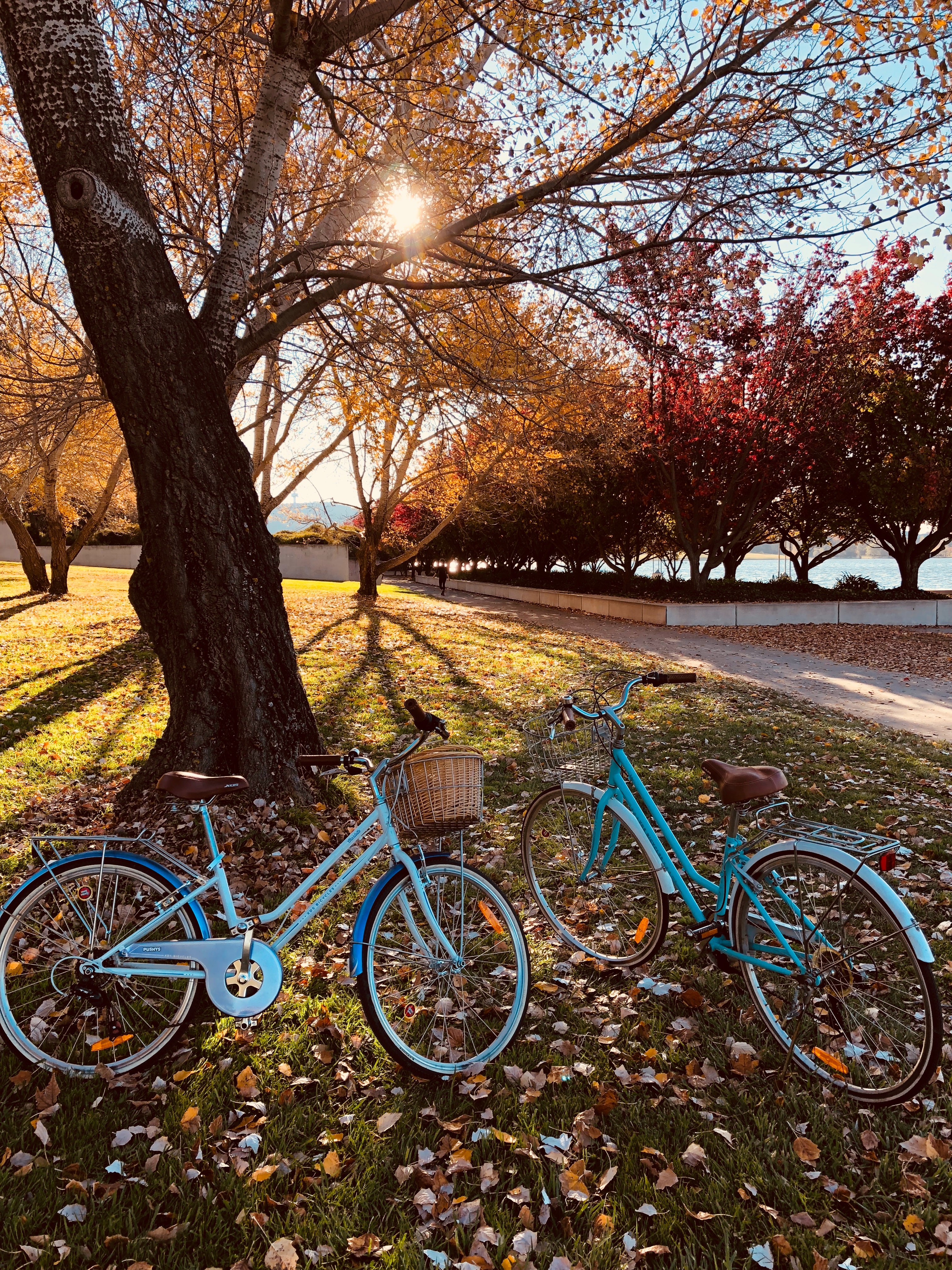 stroll, bicycles, miscellanea, miscellaneous, autumn park wallpapers for tablet