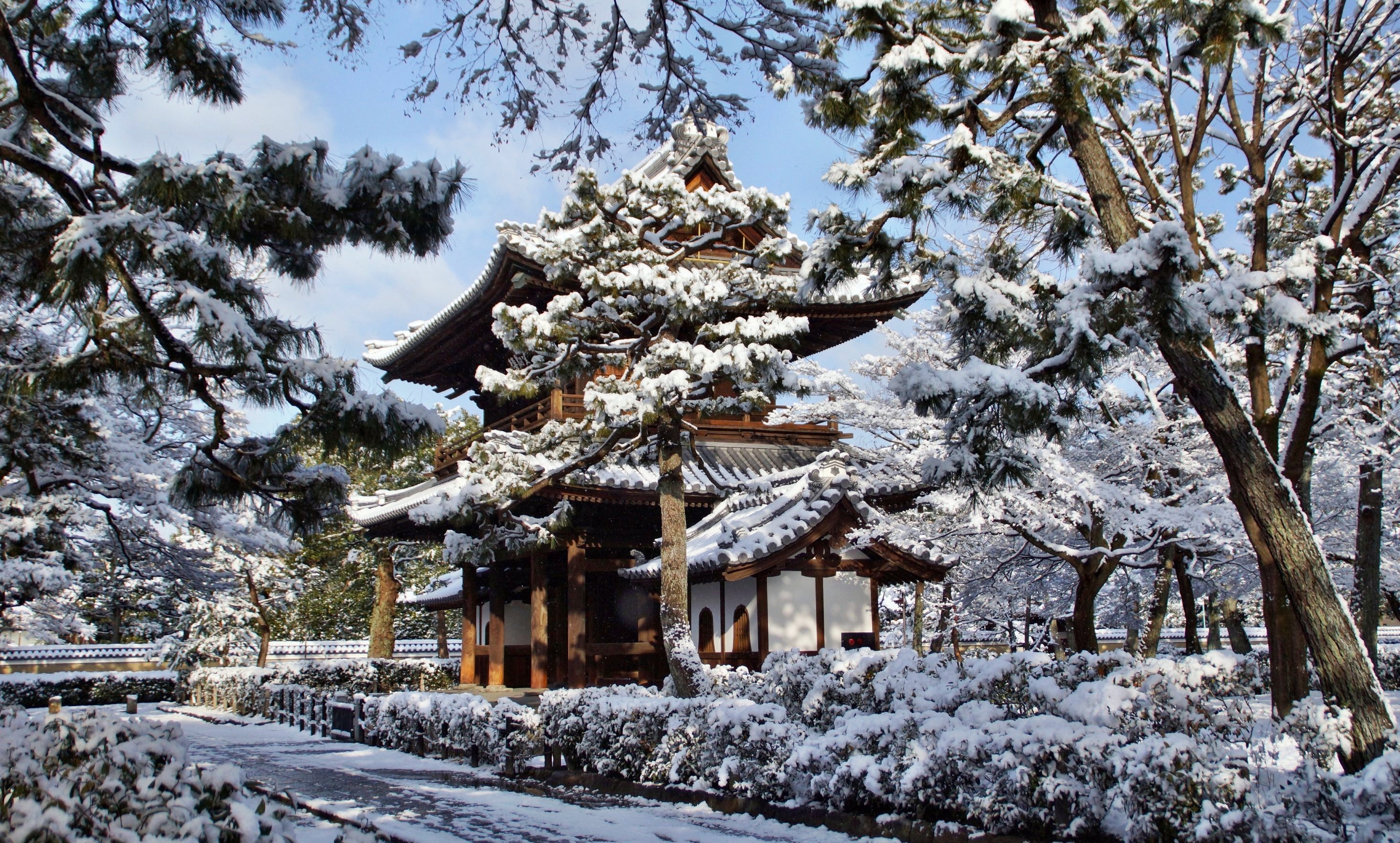 342515 descargar fondo de pantalla religioso, templo kennin ji, kioto, templo, invierno, templos: protectores de pantalla e imágenes gratis
