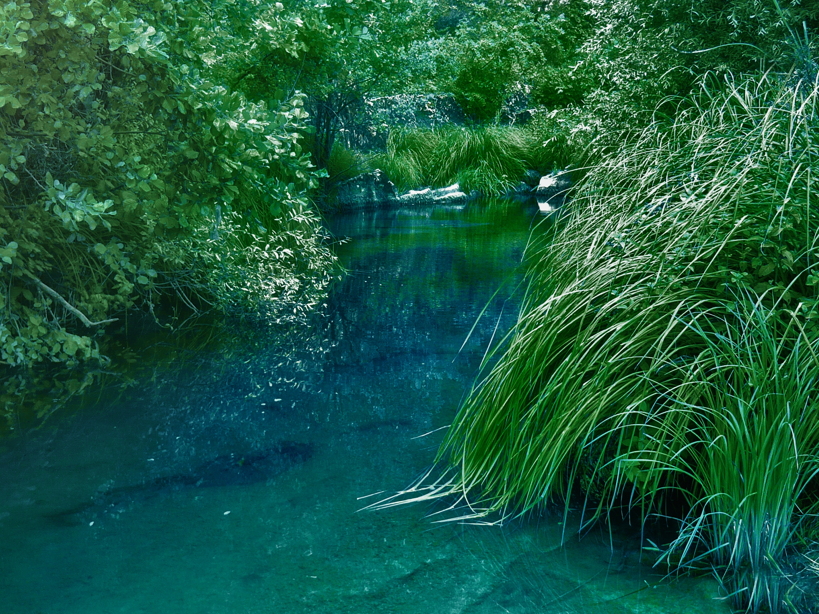 Free download wallpaper Nature, Grass, Bush, Rivers on your PC desktop