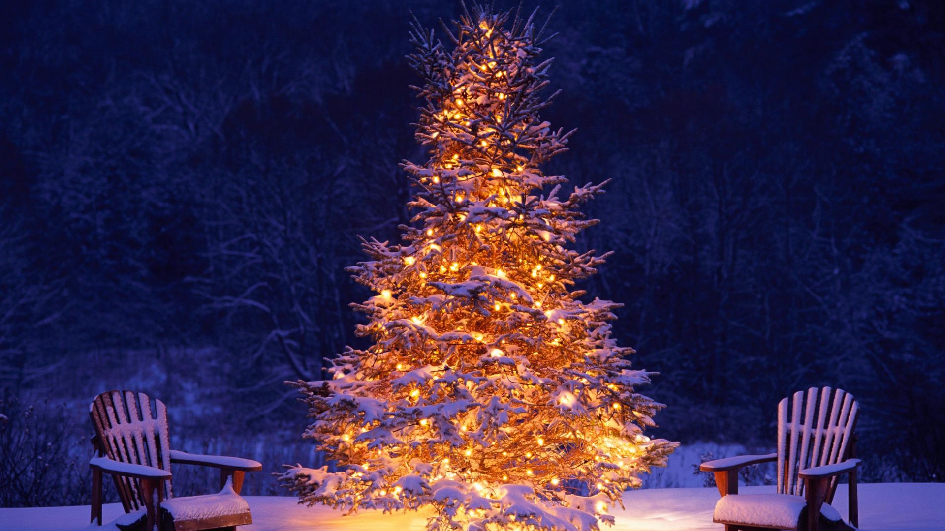 1498694 Hintergrundbild herunterladen weihnachten, feiertage, stuhl, weihnachtsbaum - Bildschirmschoner und Bilder kostenlos