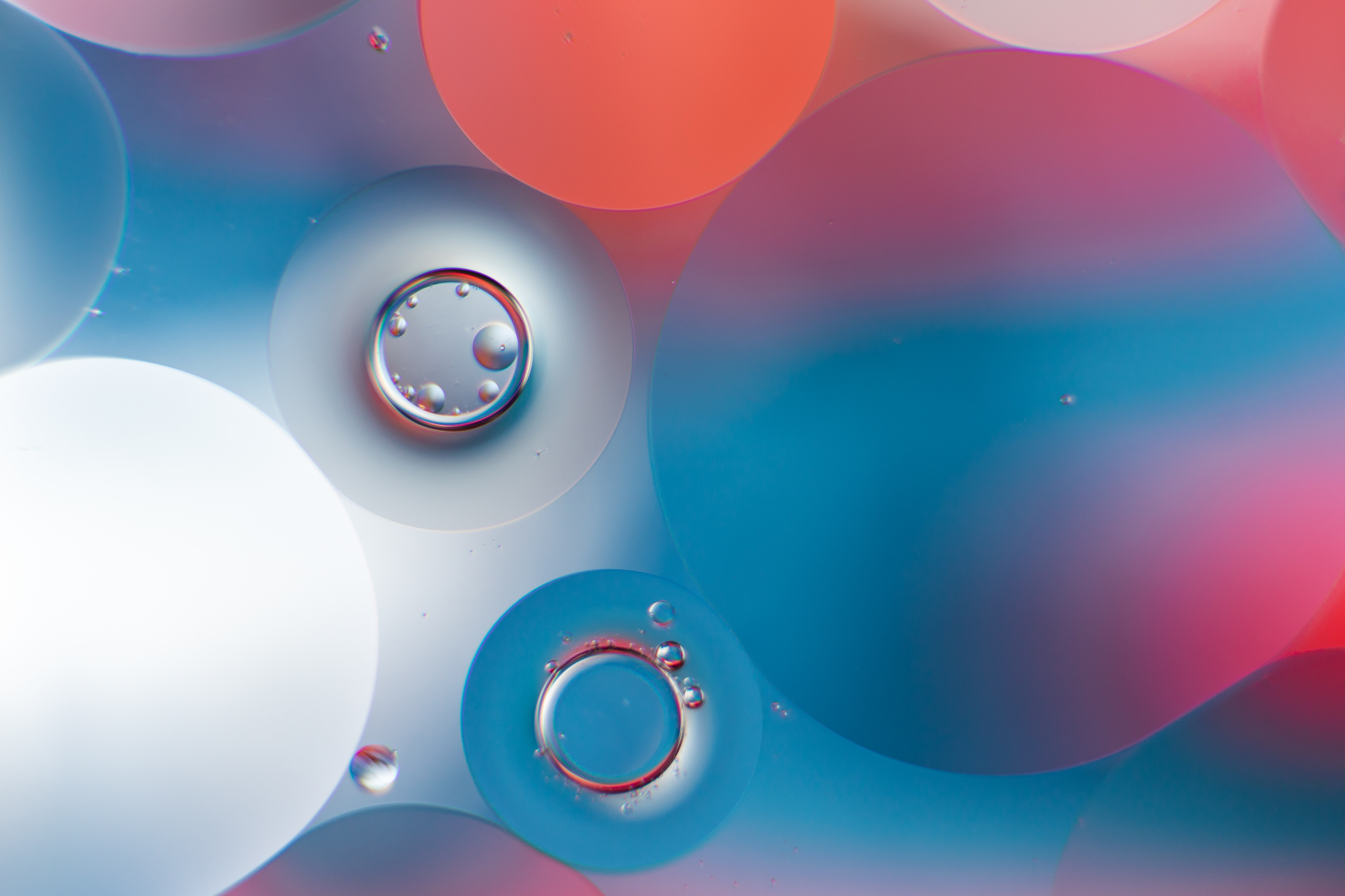 bubbles, gradient, round, abstract, water