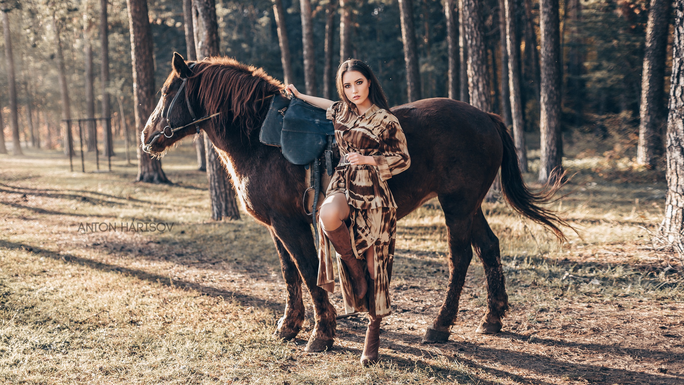 Mary horse. Фотомодель на лошади. Брюнетка на лошади. Девушка верхом на лошади. Модель лошади.