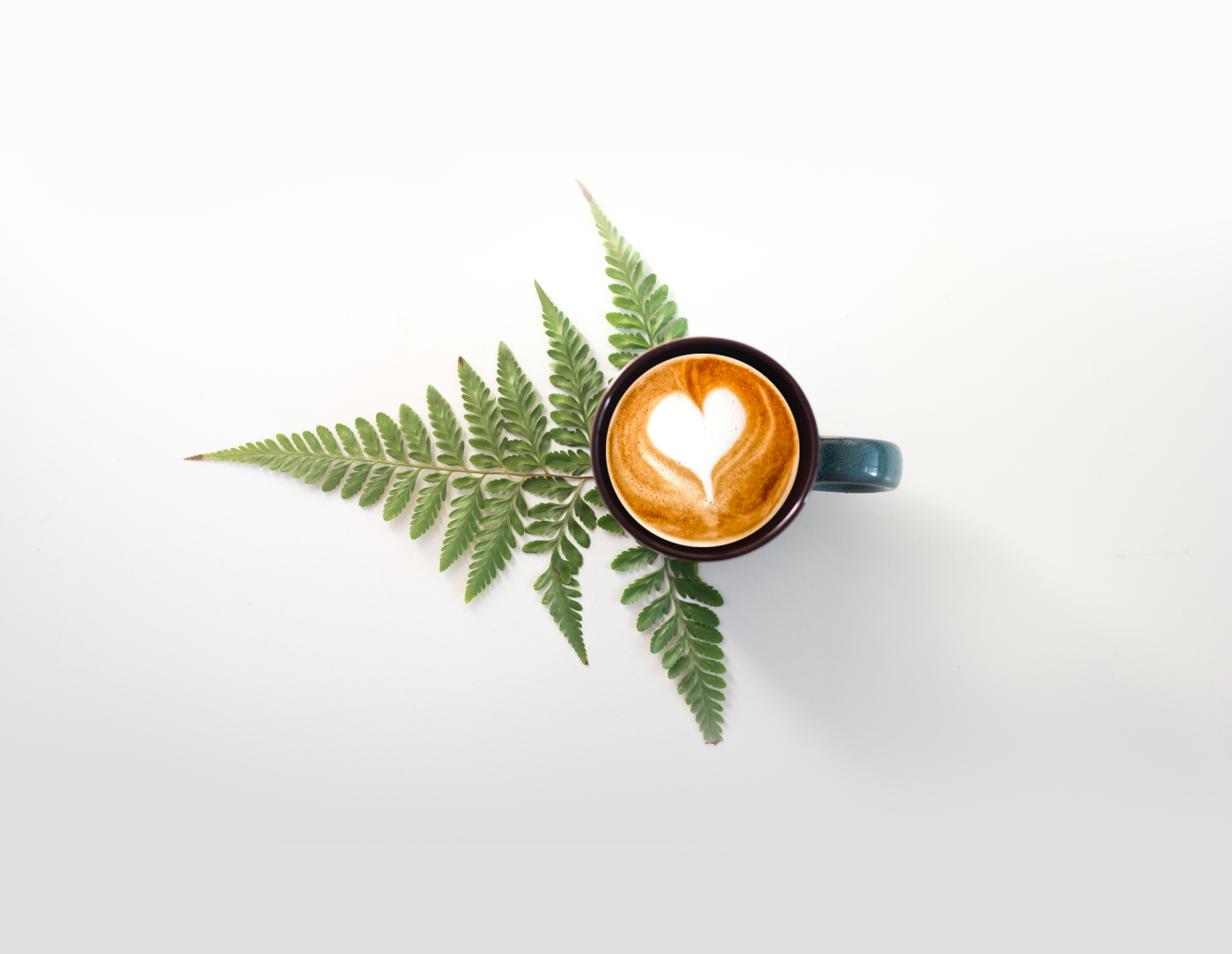 cup, beverage, food, fern, pattern, cappuccino, drink High Definition image