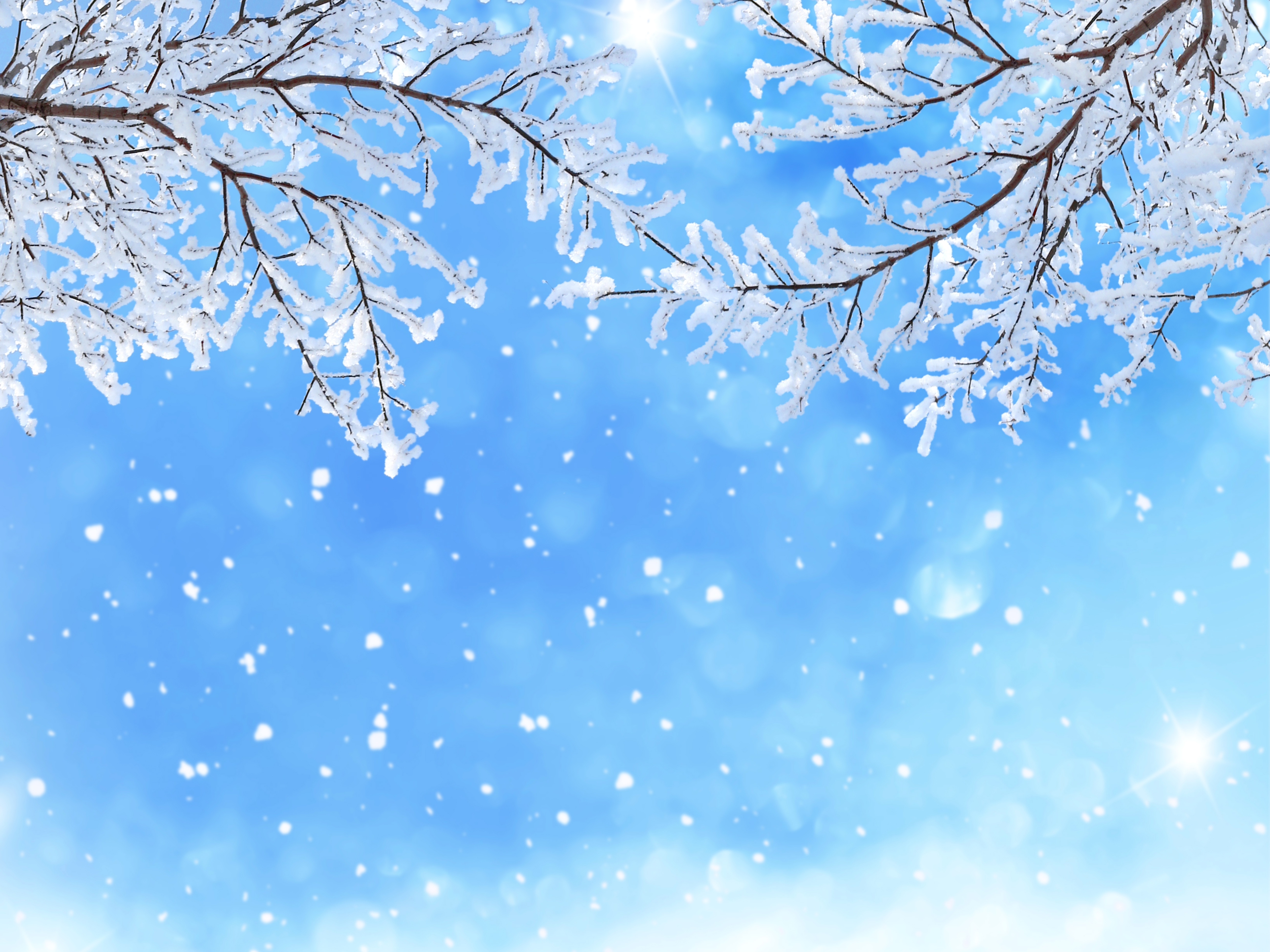 Скачать картинку Зима, Снег, Снежинки, Ветка, Снегопад, Земля/природа в телефон бесплатно.
