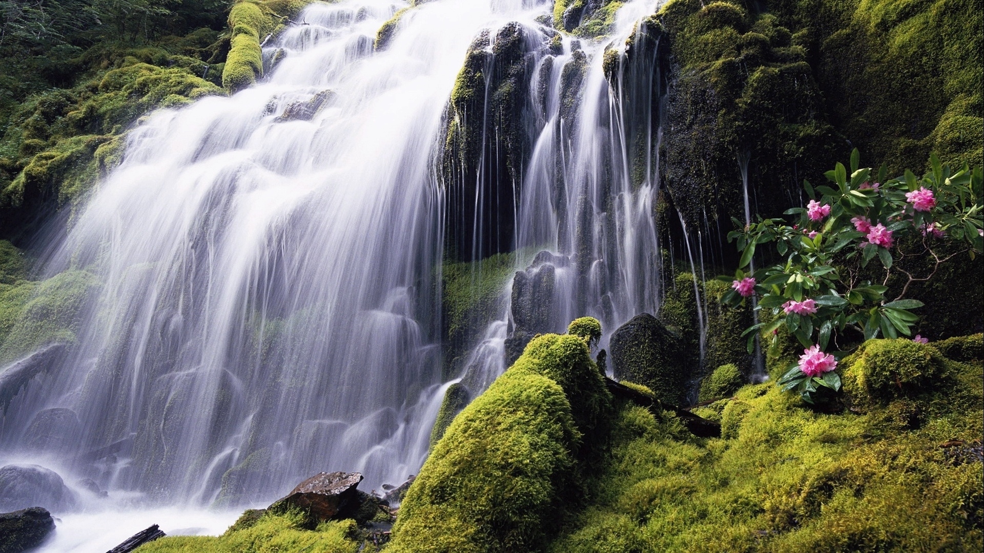 Бесплатные темы на экран. Водопад. Живая природа водопады. Изображение водопада. Заставка водопад.