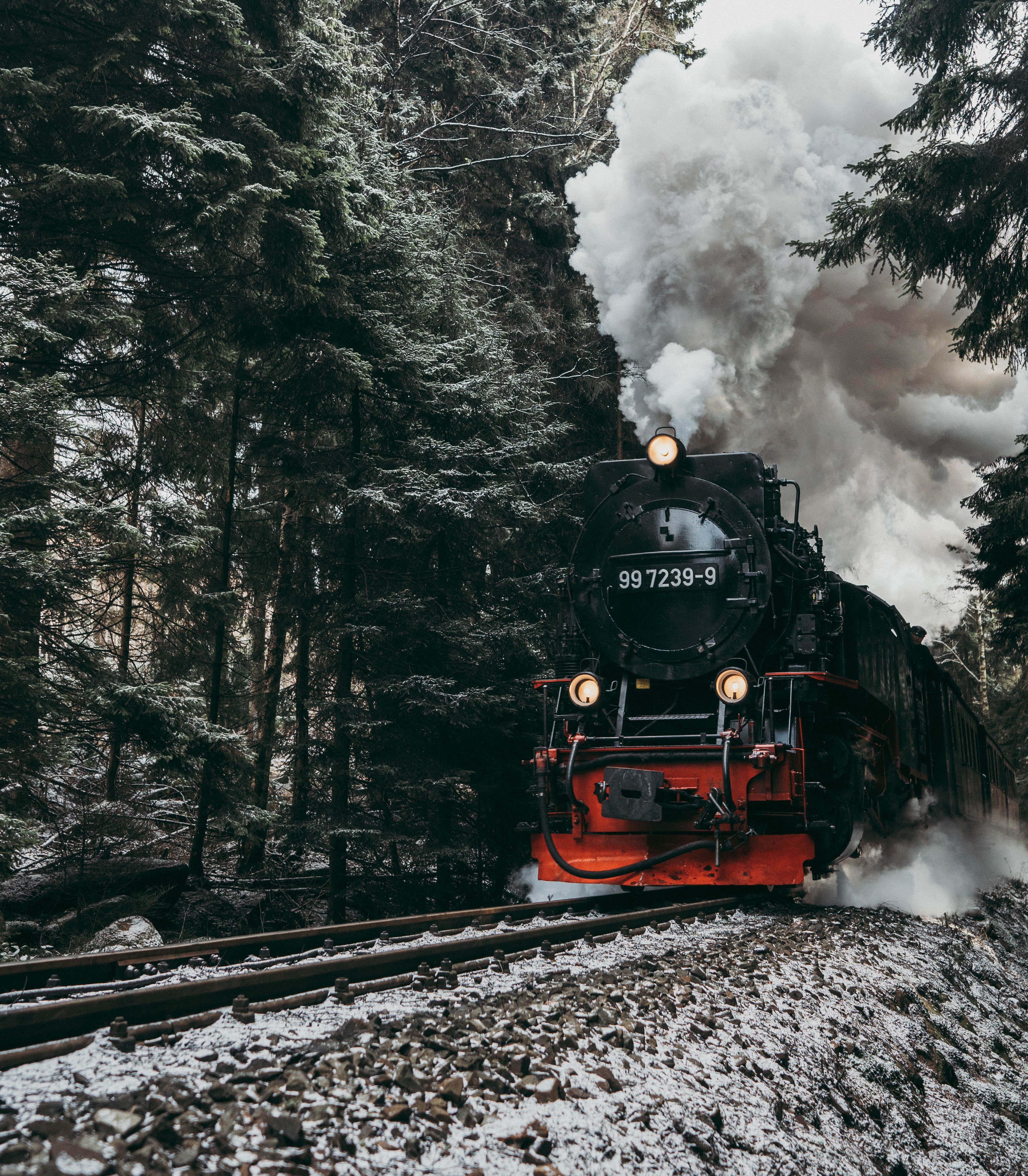 forest, train, smoke, miscellanea, miscellaneous, rails, locomotive, steam locomotive QHD