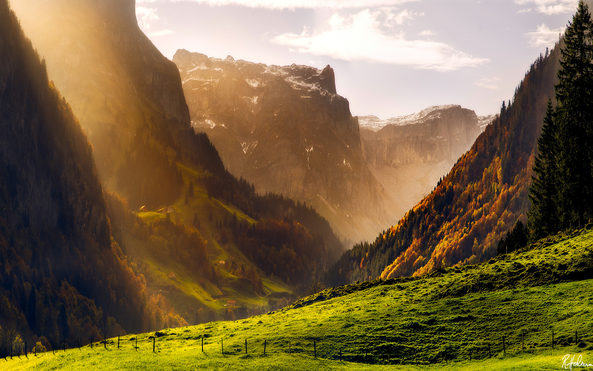 Aльпы горы лес Швейцария
