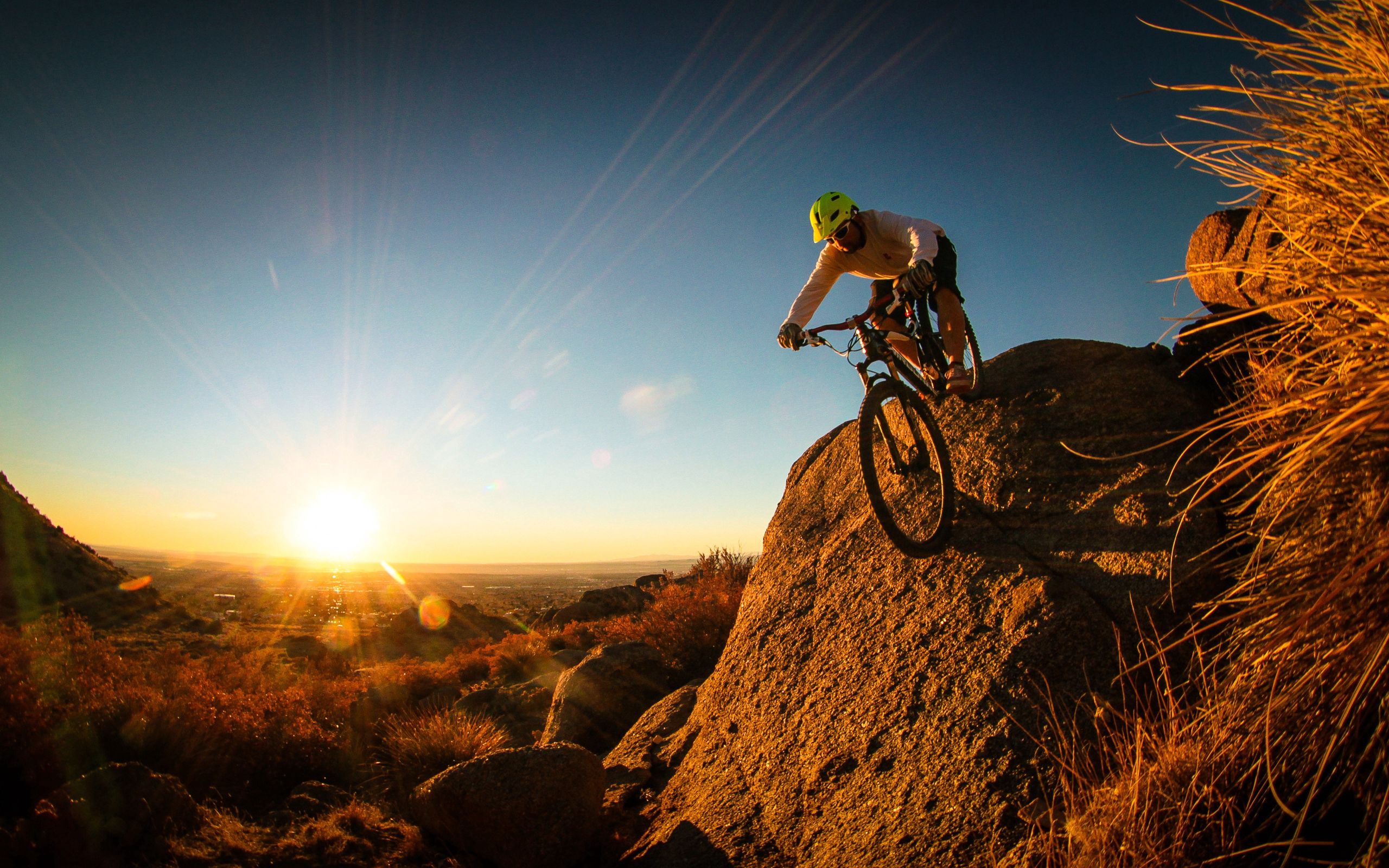 Free HD sports, man, cyclist, mountain bike