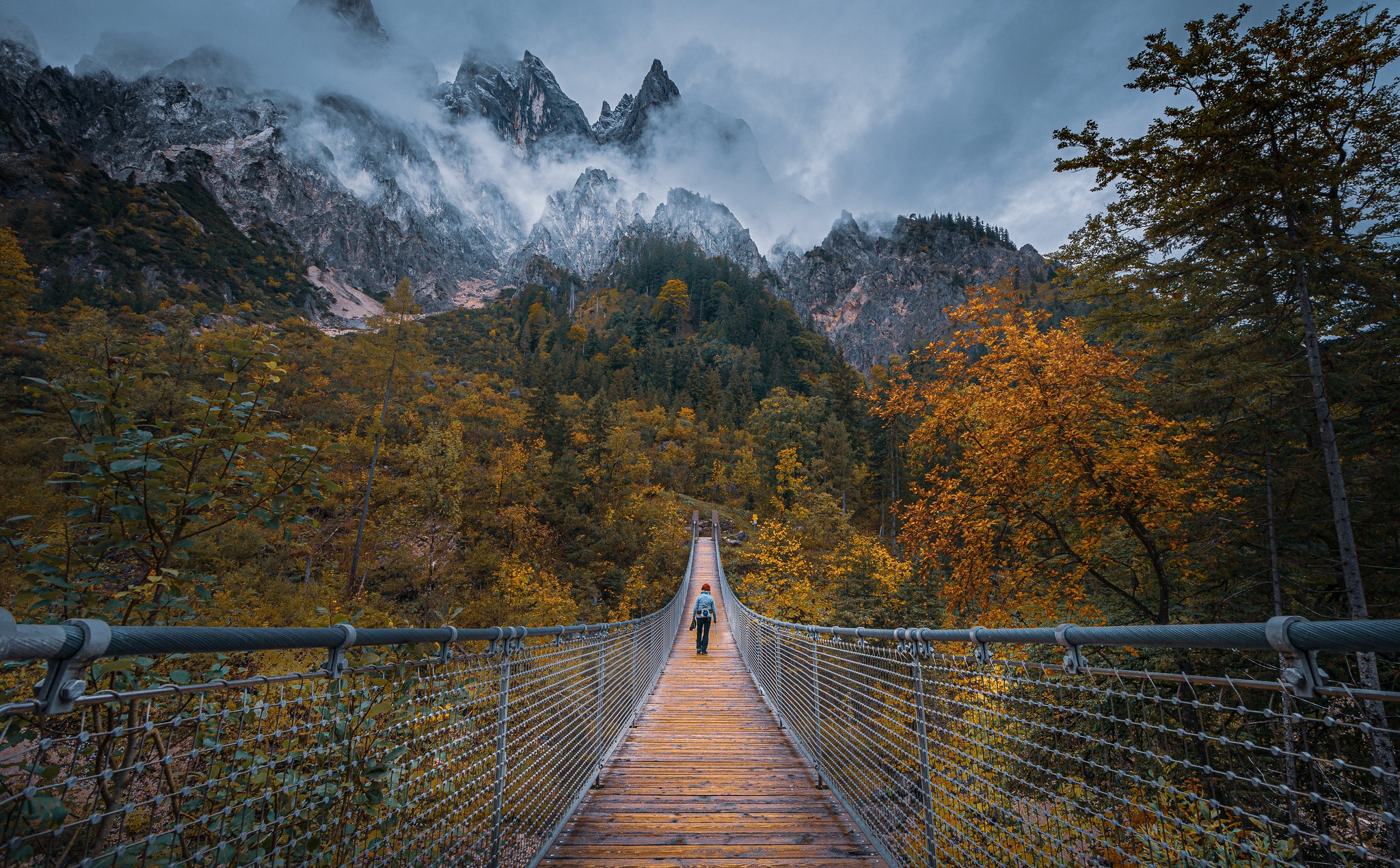 austria, photography, landscape, alps, bridge, fall, mountain, suspension bridge, tree