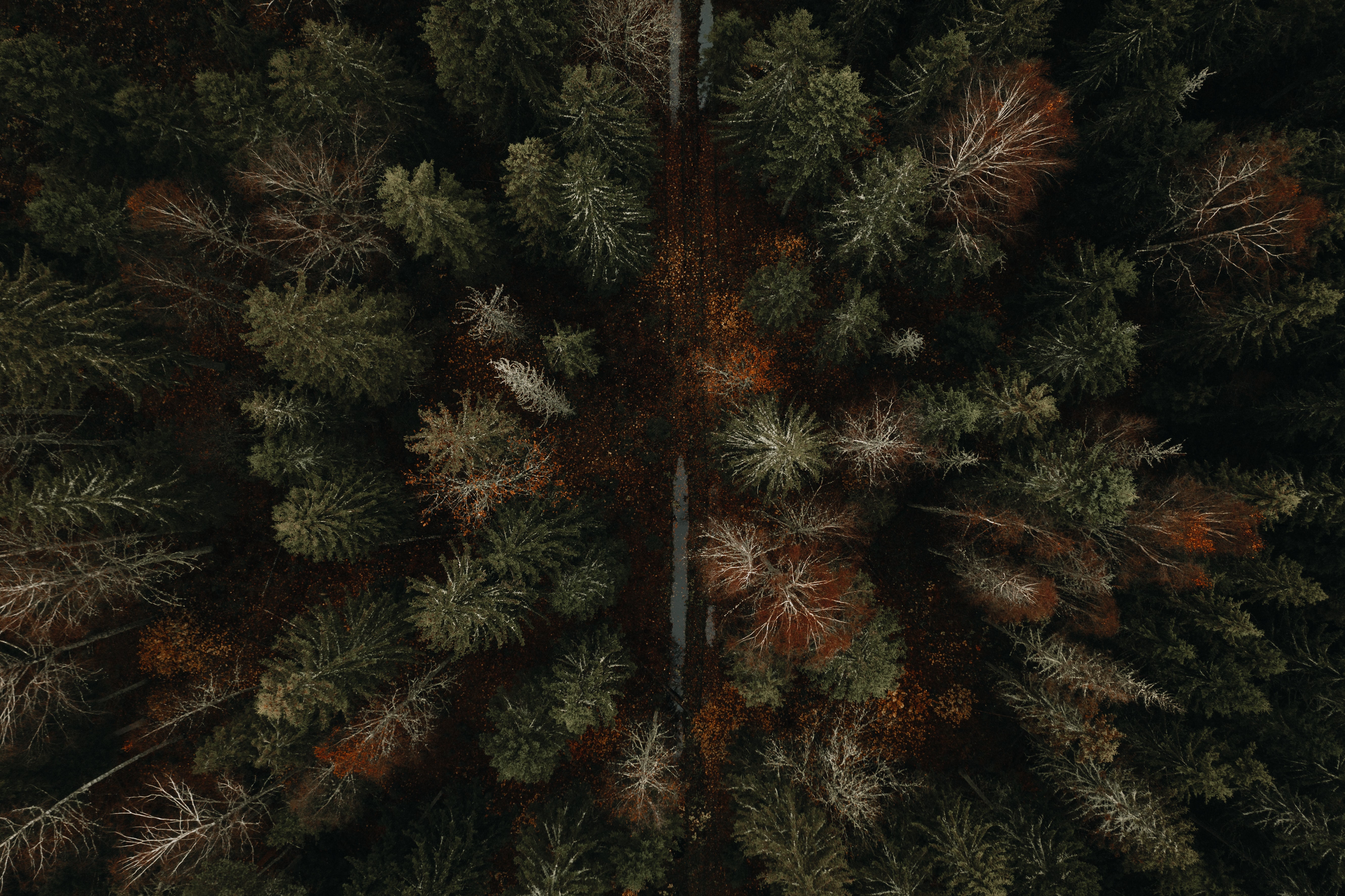 Download mobile wallpaper Forest, Road, View From Above, Autumn, Nature for free.