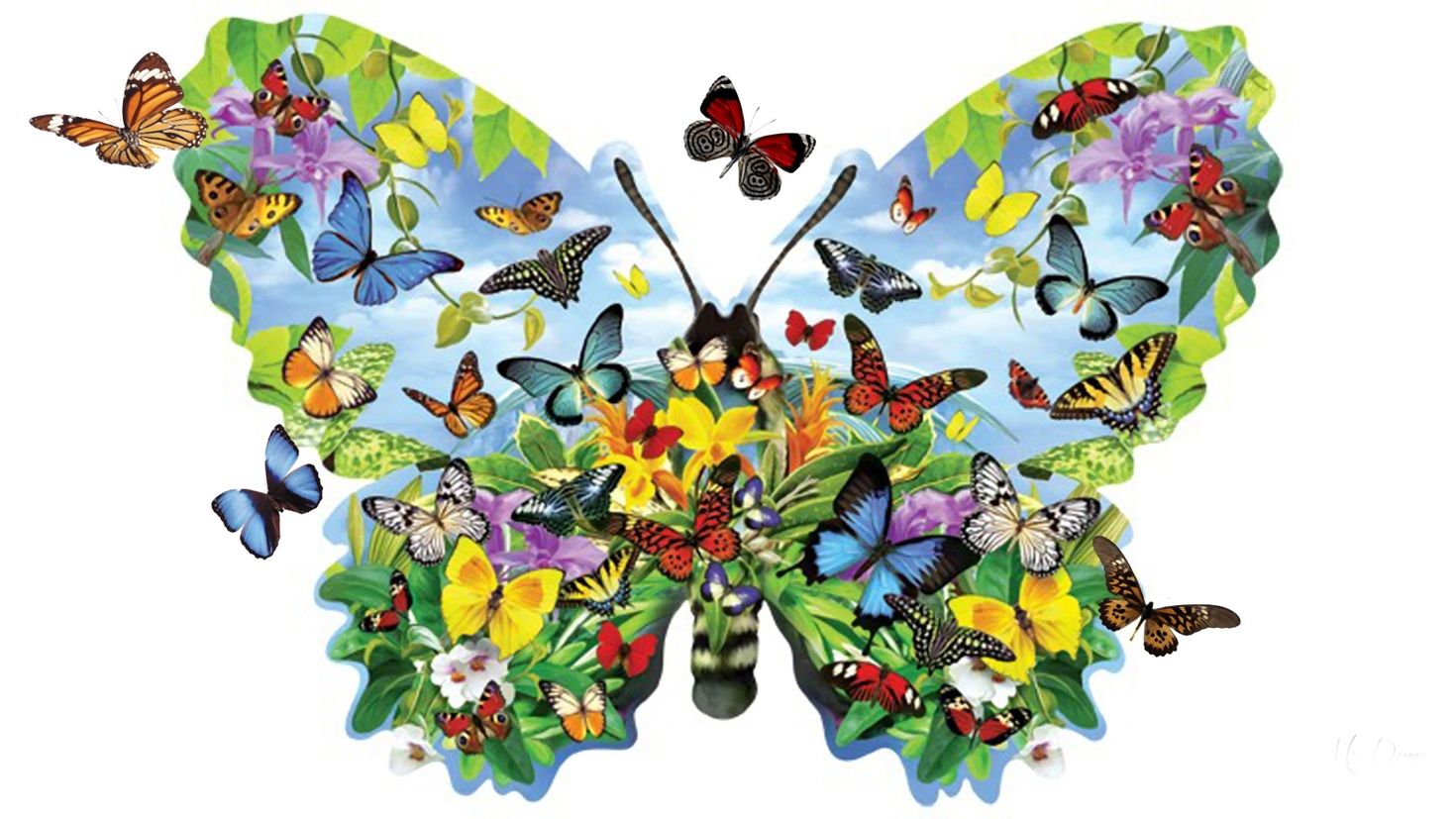 Произведение разноцветные бабочки. Бабочки цветные. Коллаж из бабочек. Бабочка рисунок. Бабочки картинки.
