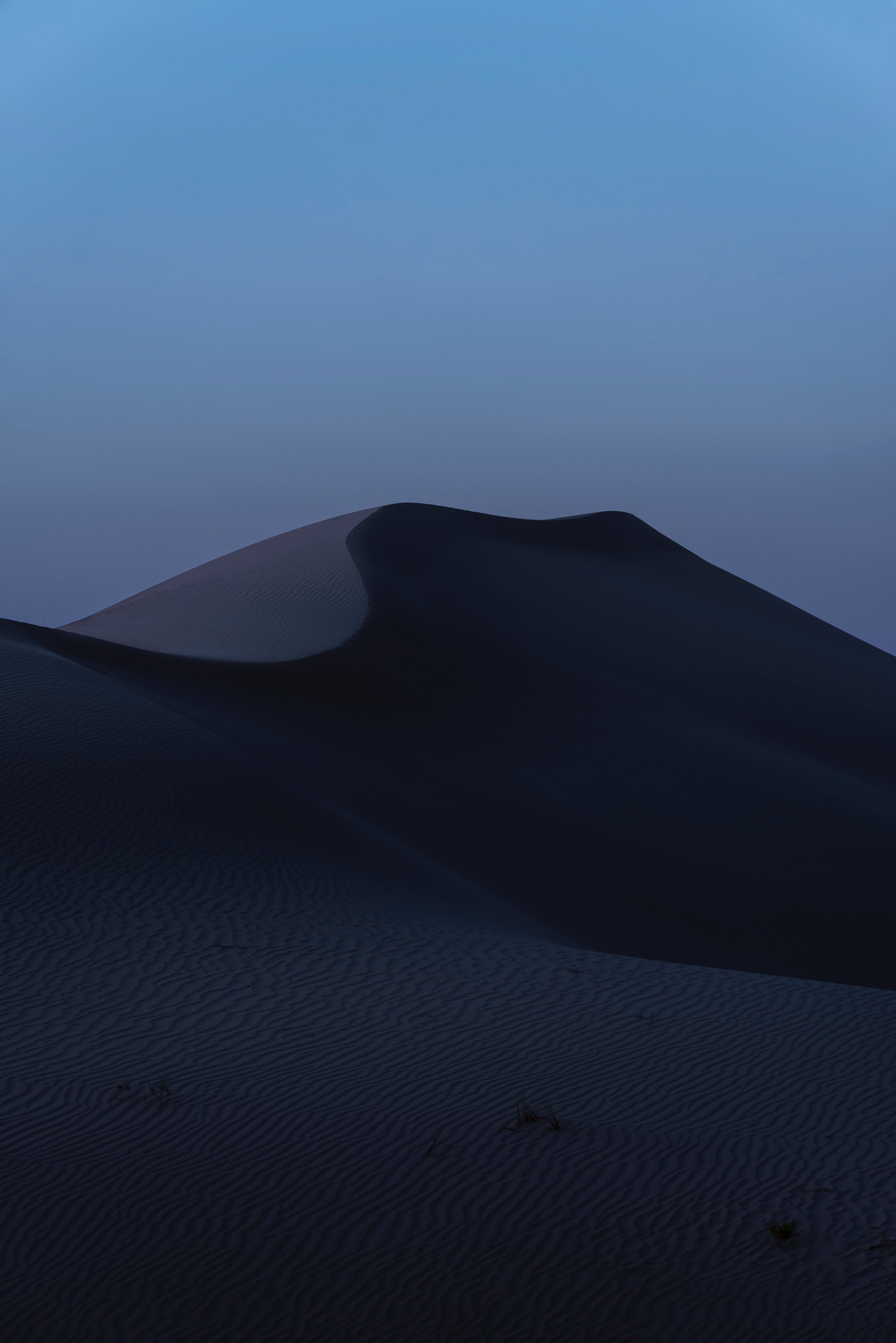 desert, dunes, twilight, nature, sunset, sand, relief, dusk, links Free Stock Photo