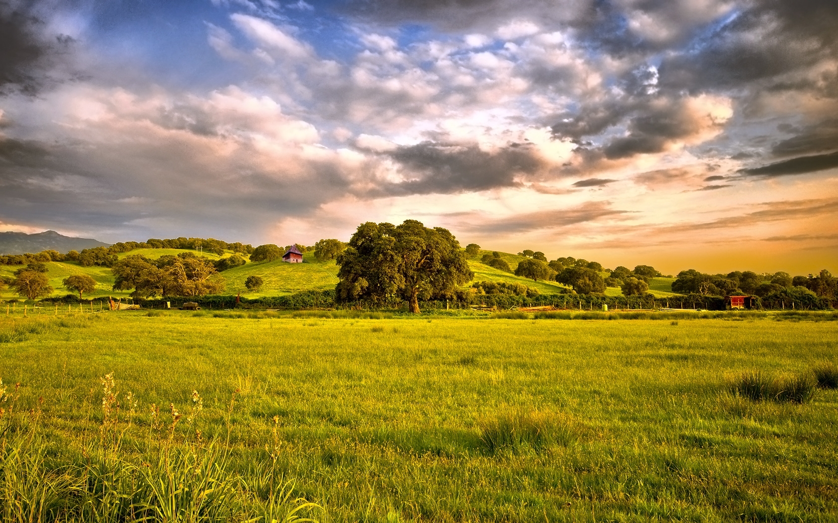 Download mobile wallpaper Landscape, Trees, Fields for free.
