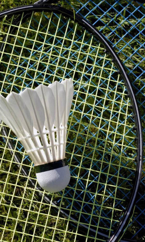 Asian Badminton Player Is Hitting In Court Stock Photo - Download Image Now  - Badminton - Gloucestershire, Badminton - Sport, Asia - iStock