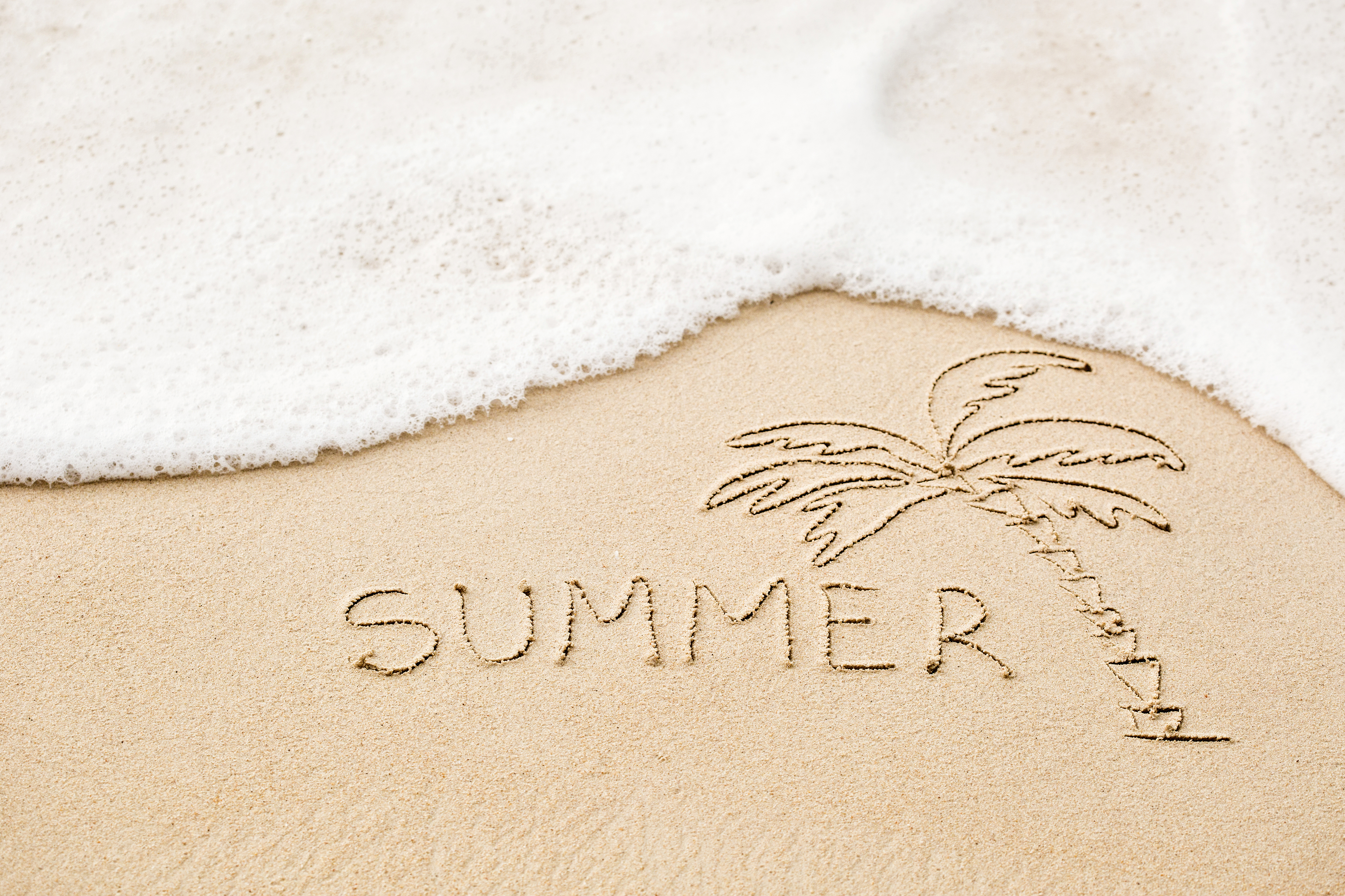 summer, artistic, foam, palm tree, sand