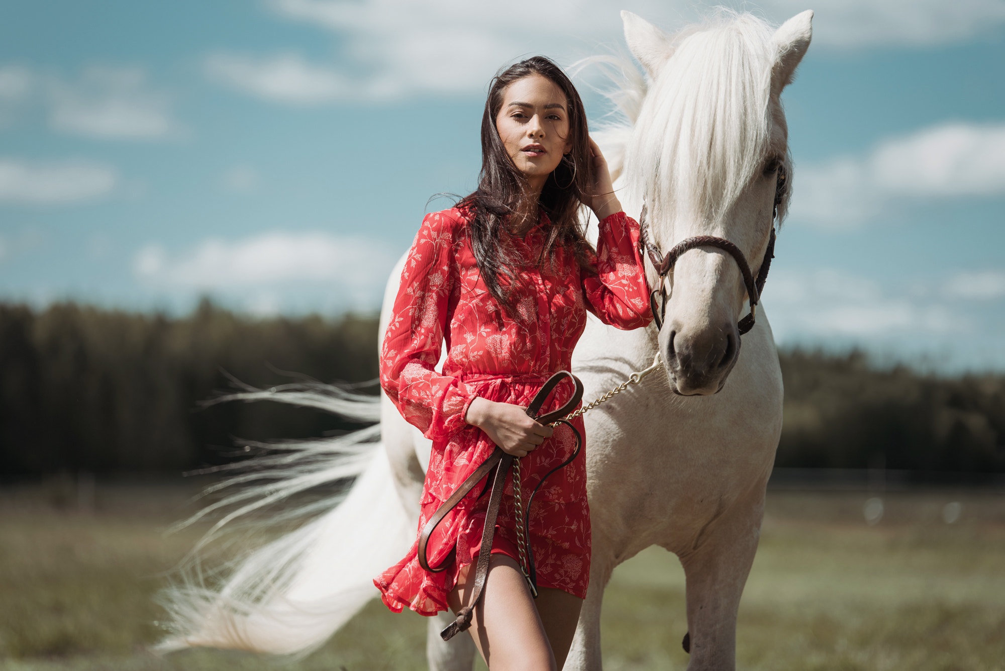 Девушки в красивых платьях на лошадях