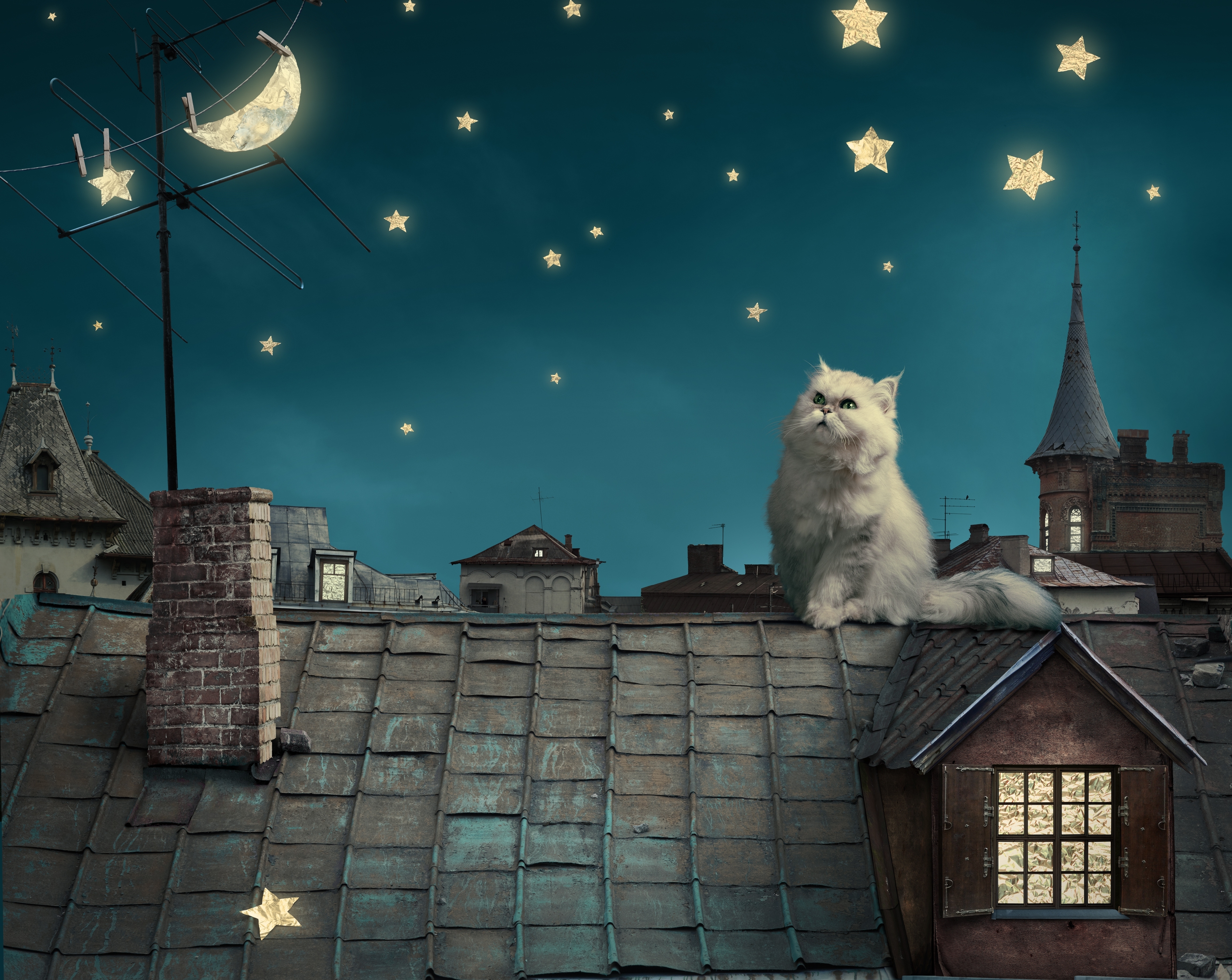 74496 скачать картинку небо, фэнтези, дома, ночь, животные, крыши, сказка, луна, звезды, котенок, персидские белый кот - обои и заставки бесплатно