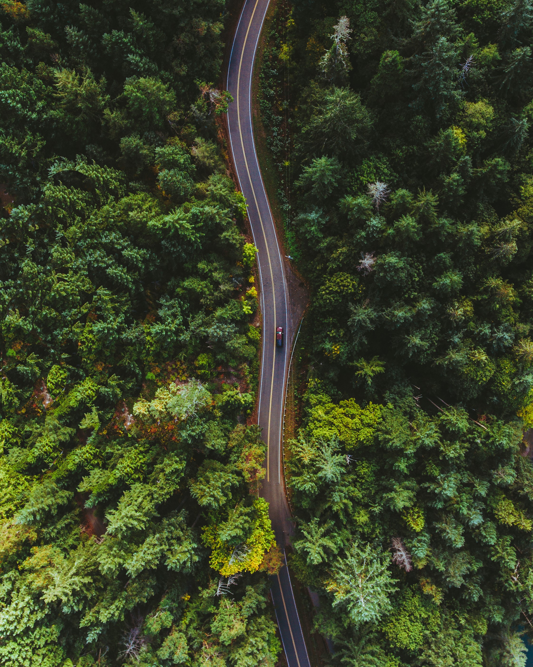 Download mobile wallpaper Markup, Trees, View From Above, Road, Nature, Car for free.